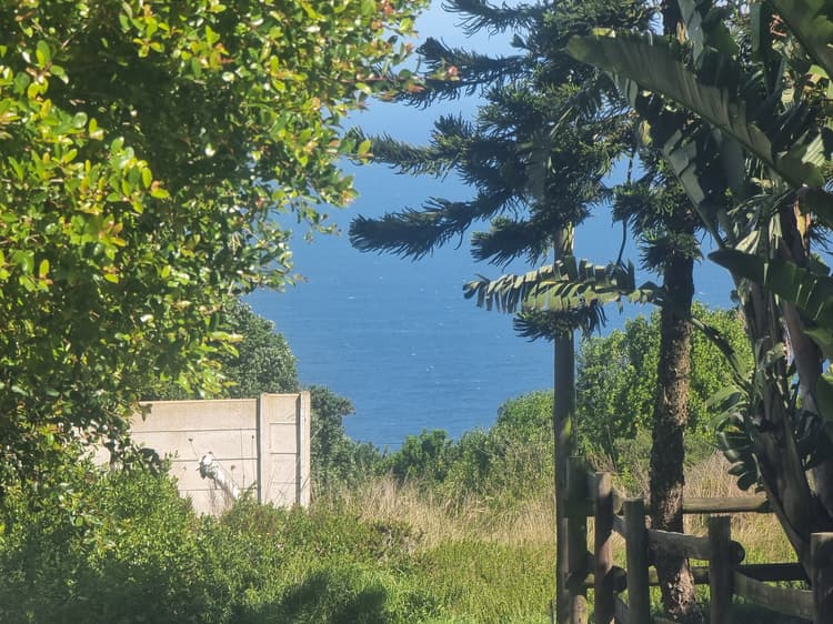 Main property image