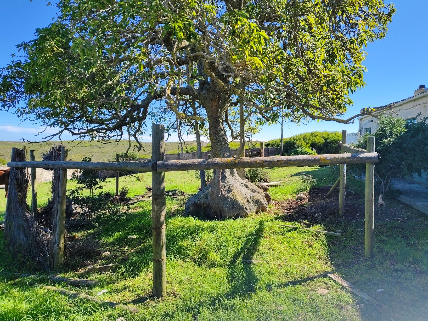 Image 5 of 6