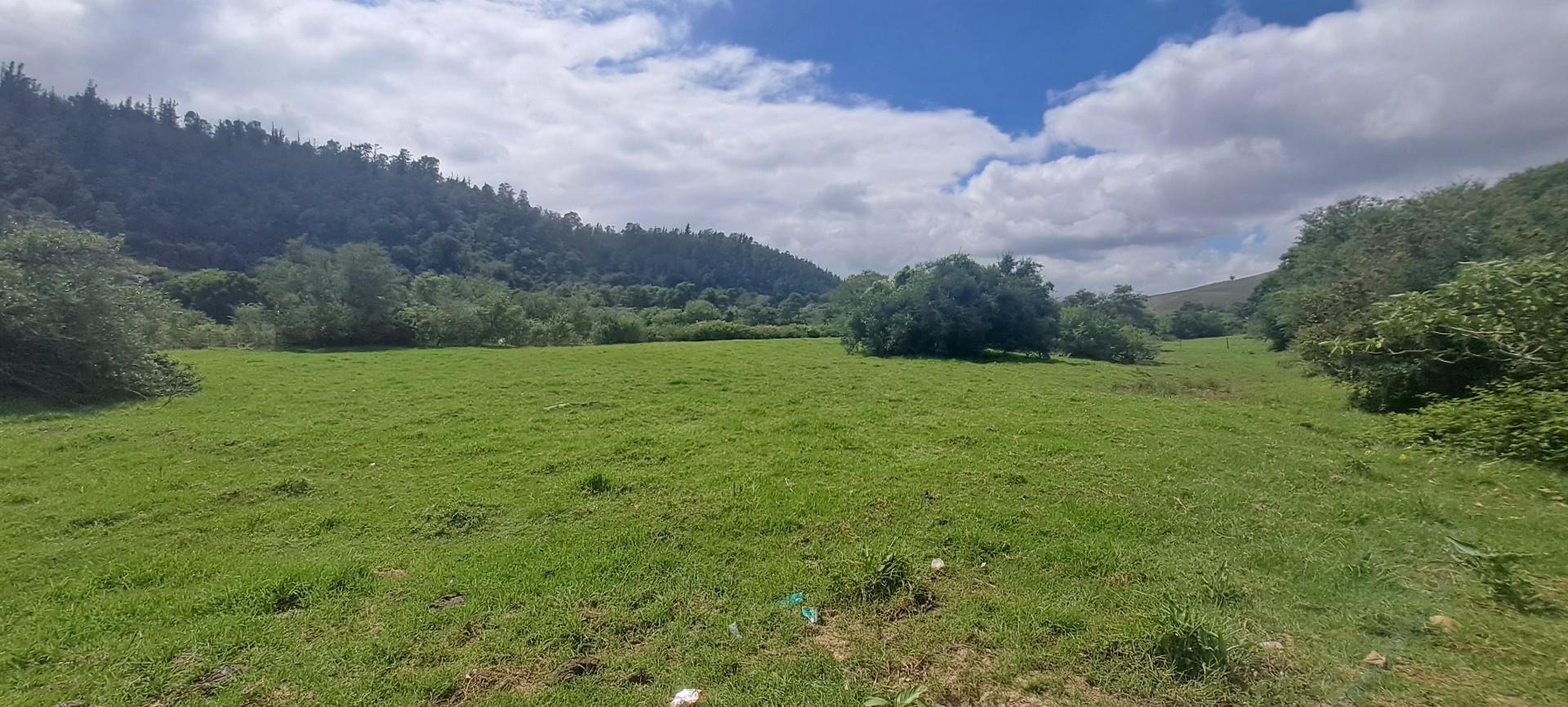 Image 5 of 6