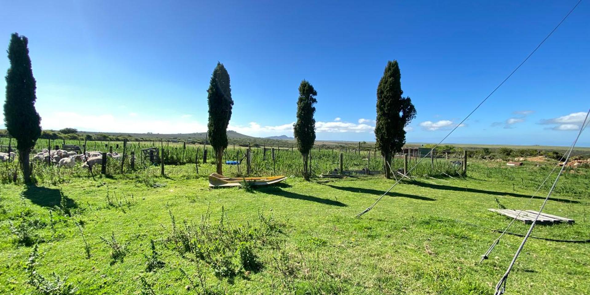 Image 4 of 6