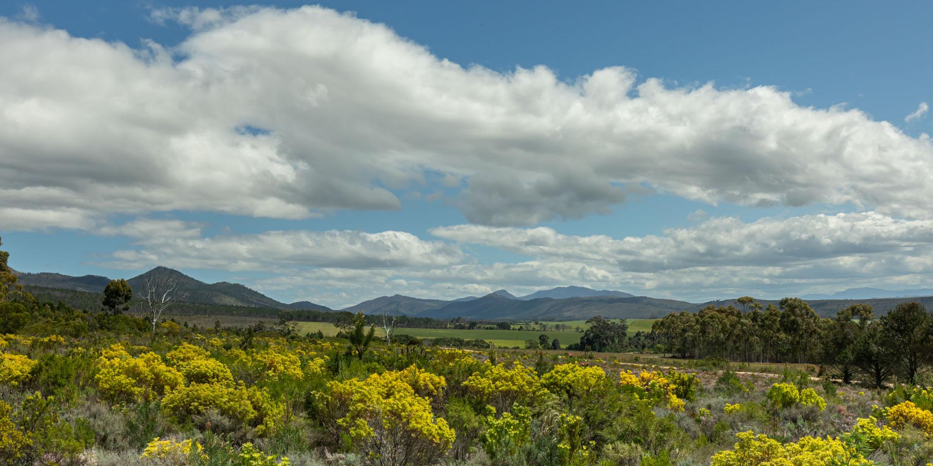 Image 4 of 6