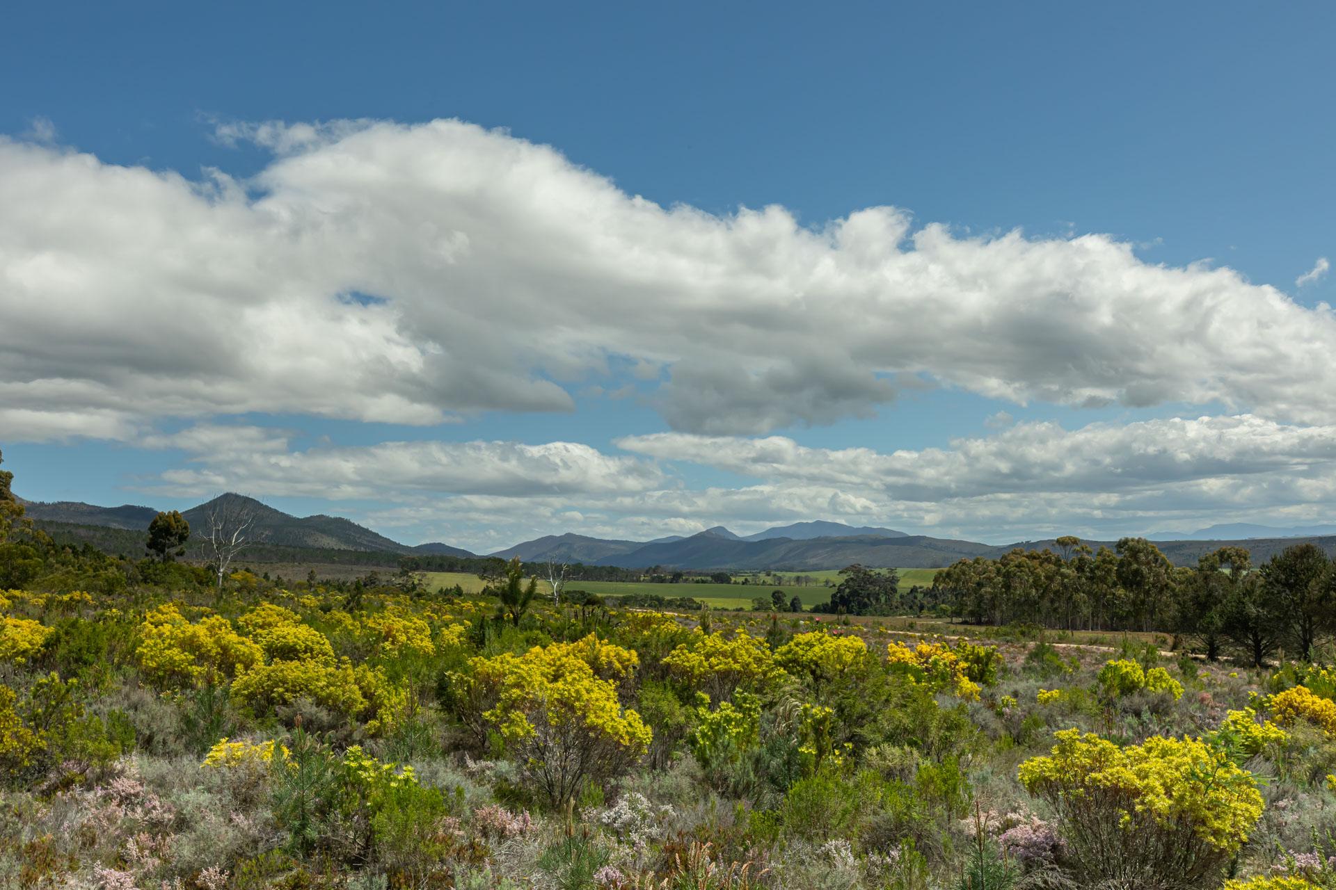 Image 4 of 6