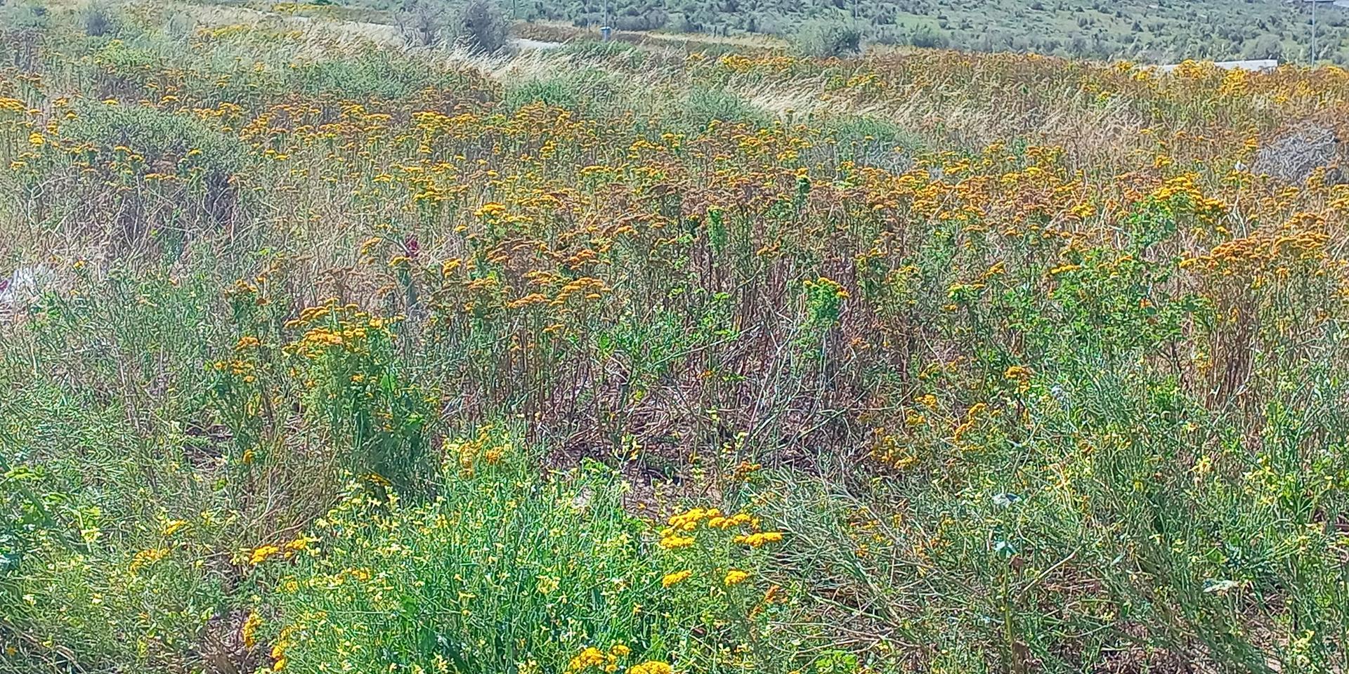 Image 4 of 6
