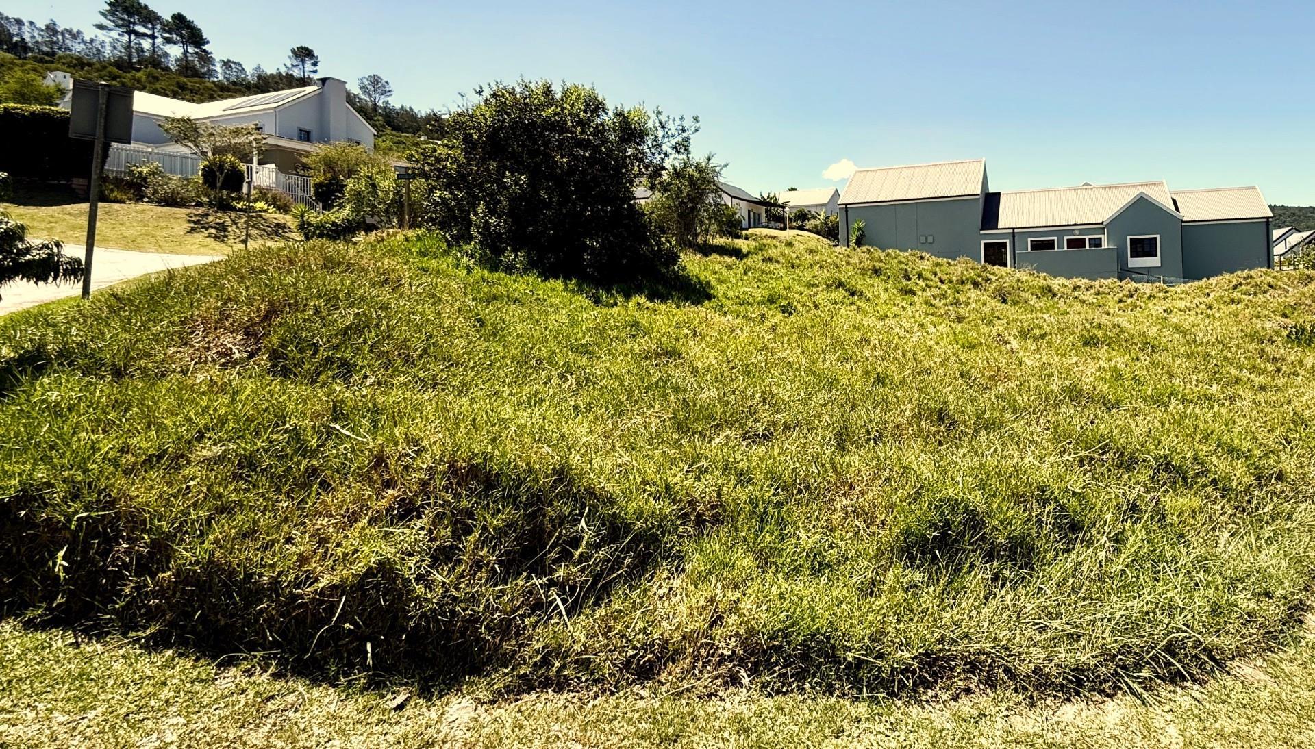 Image 2 of 6