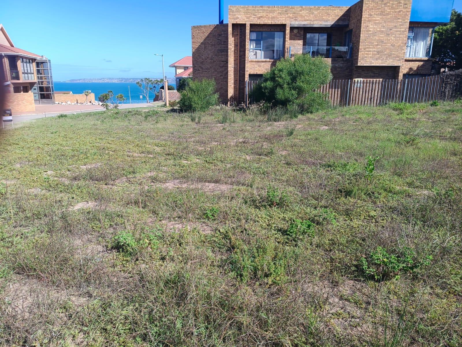 Image 5 of 6