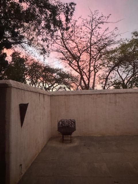 Image 15