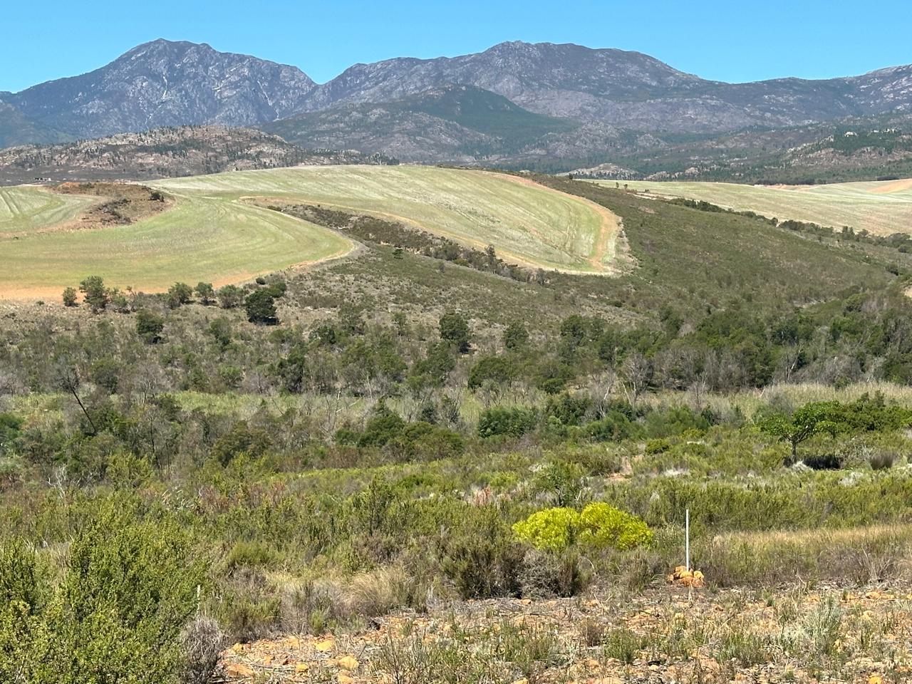 Image 12
