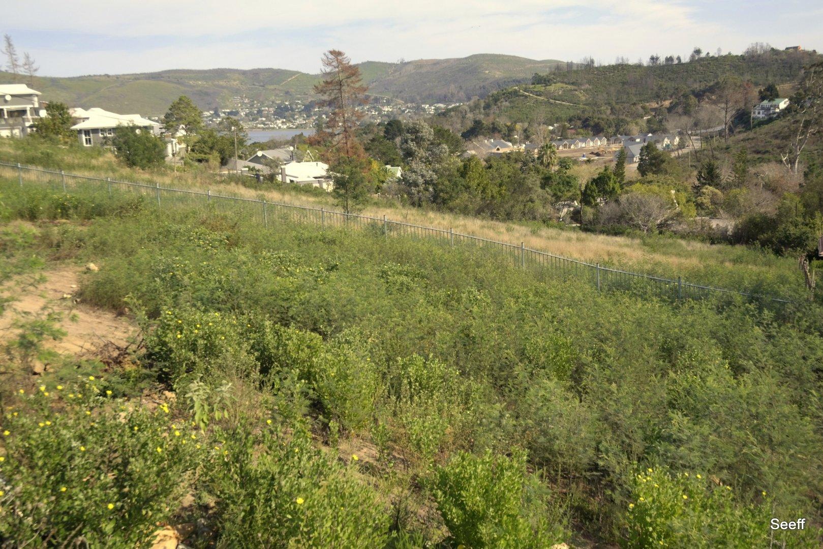 Image 13