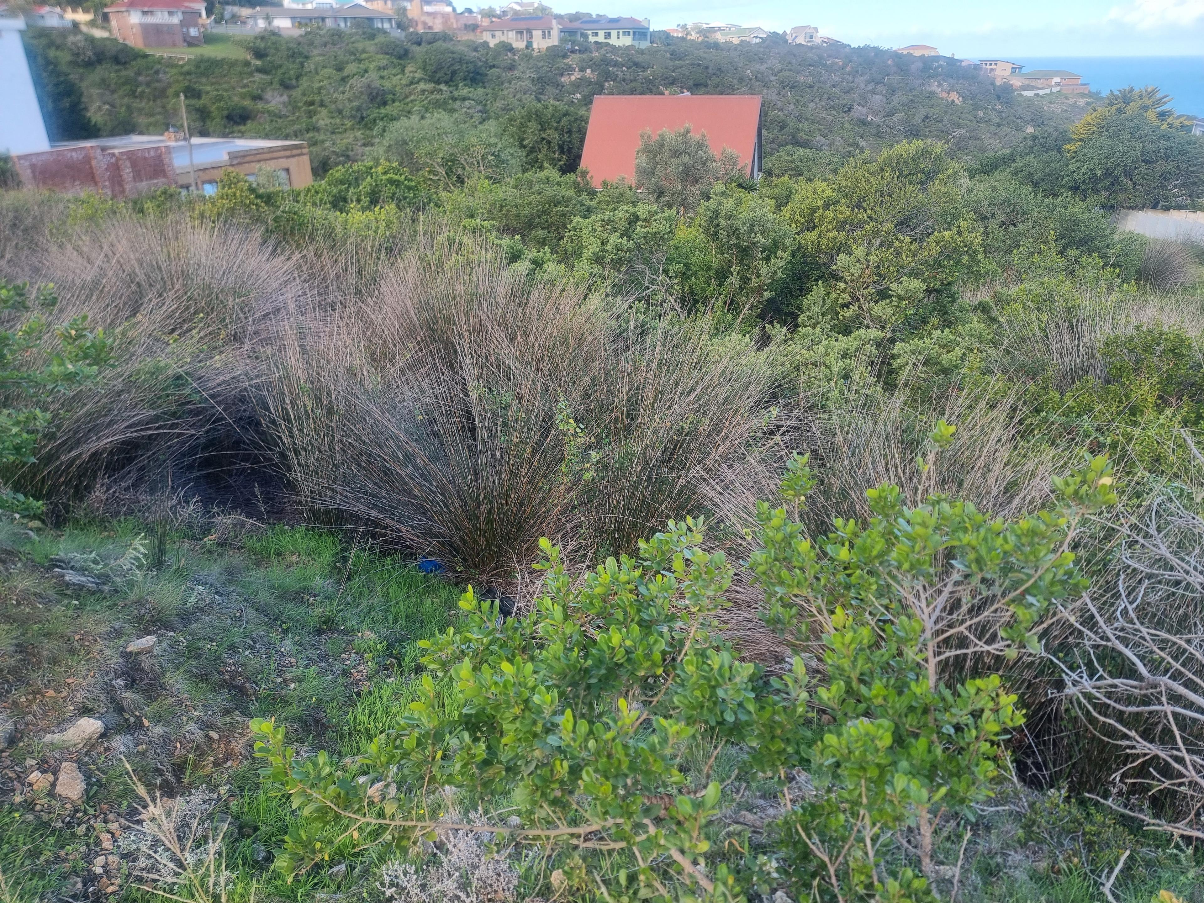 Image 14