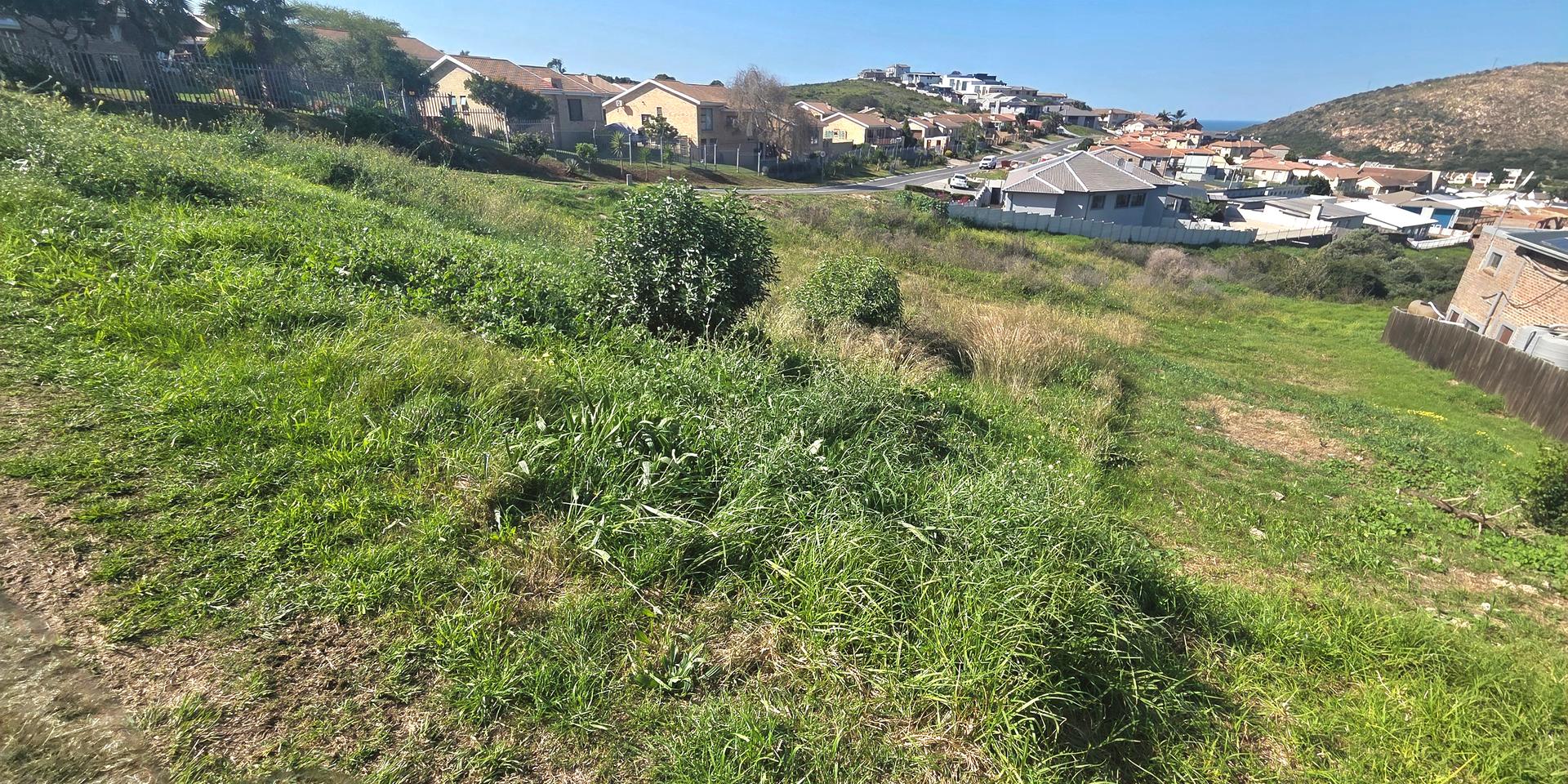 Image 4 of 6