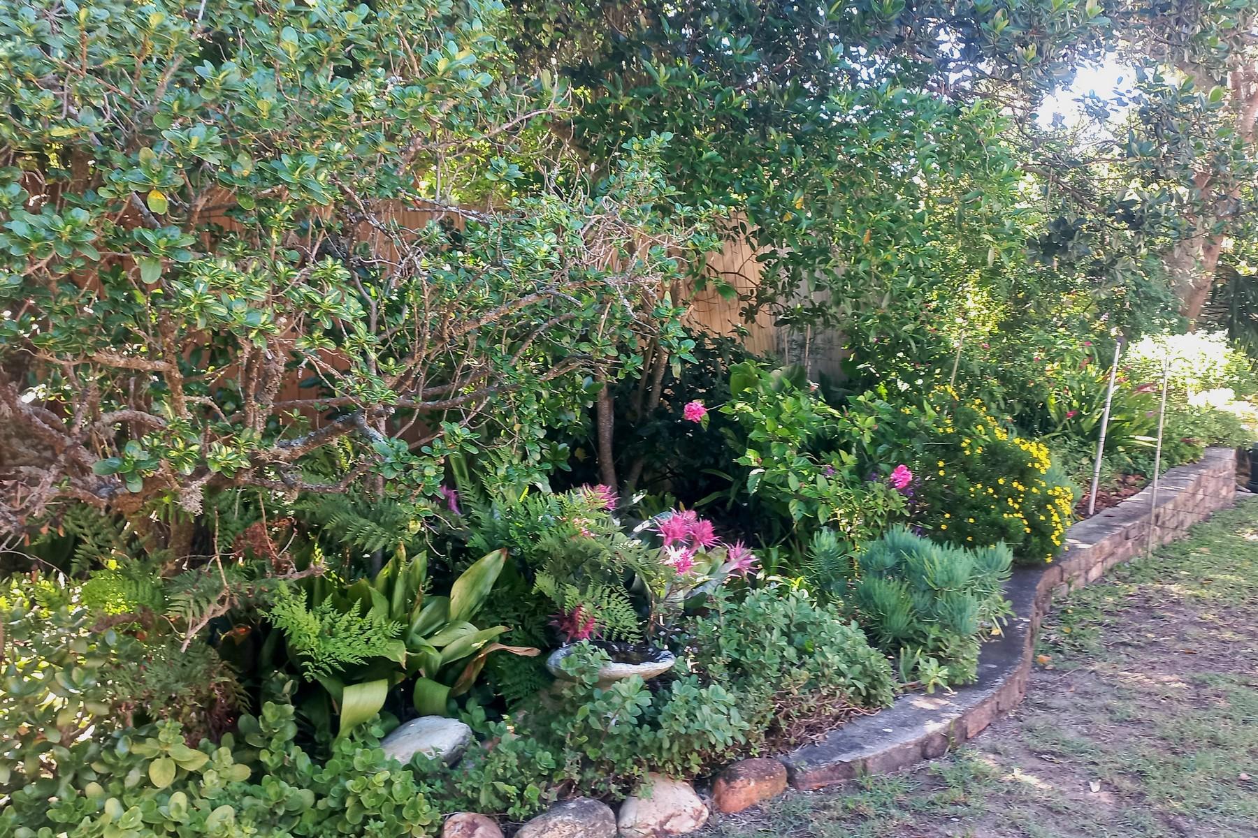 Image 25