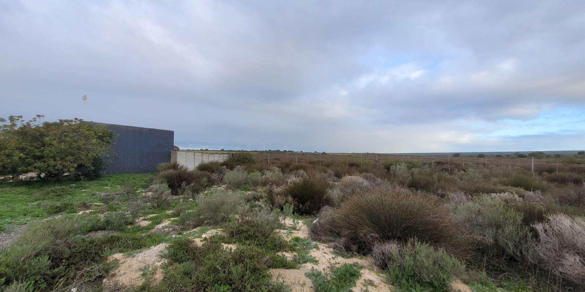 Image 3 of 6
