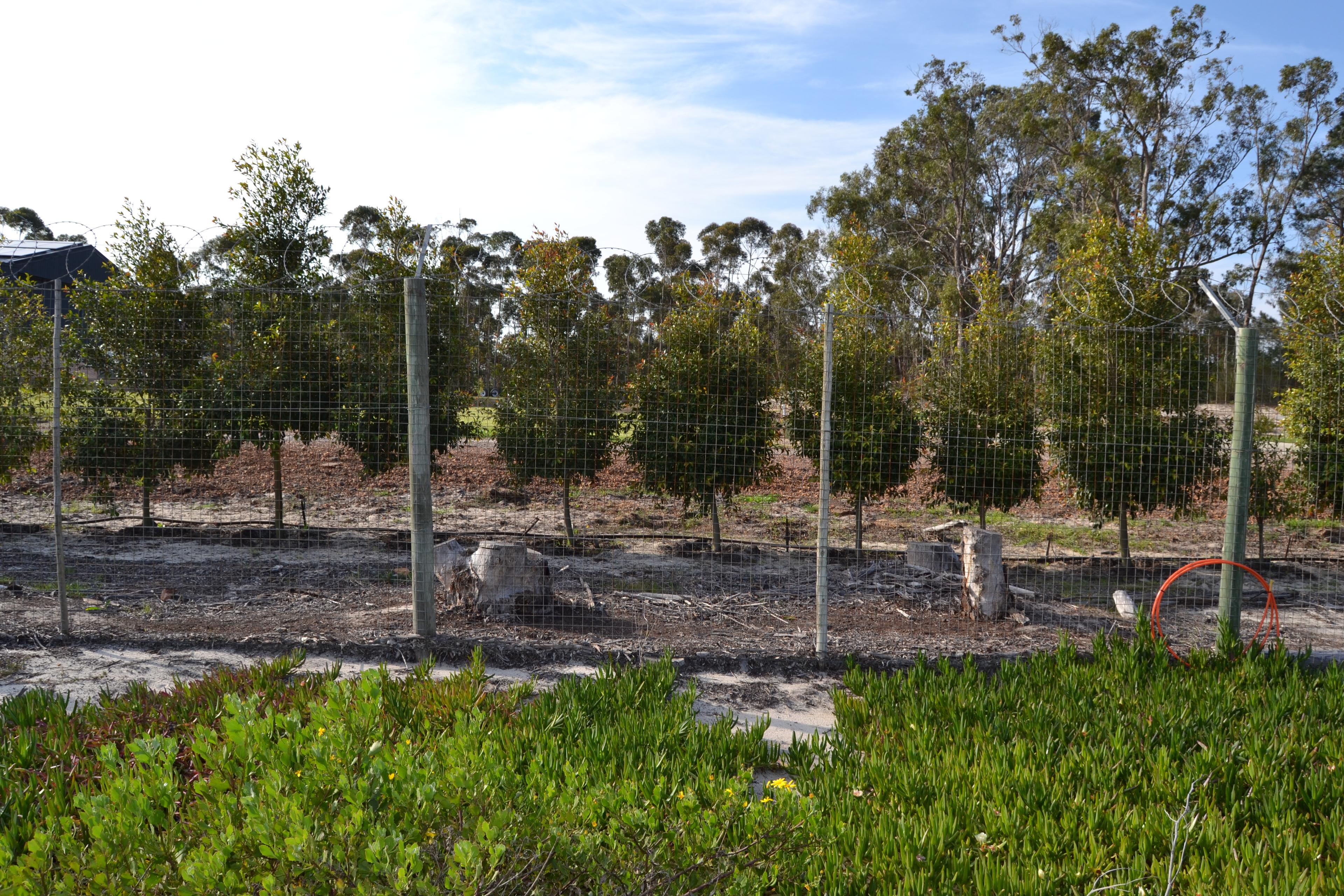 Image 12