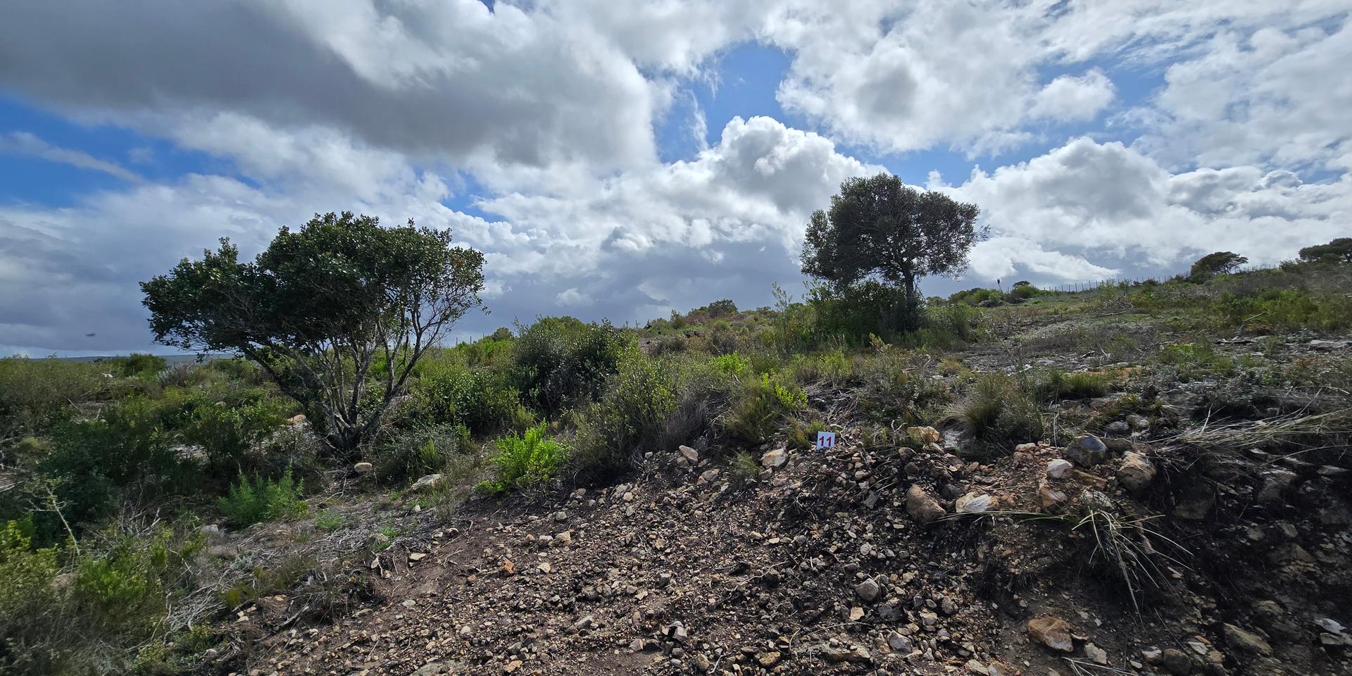 Image 4 of 6