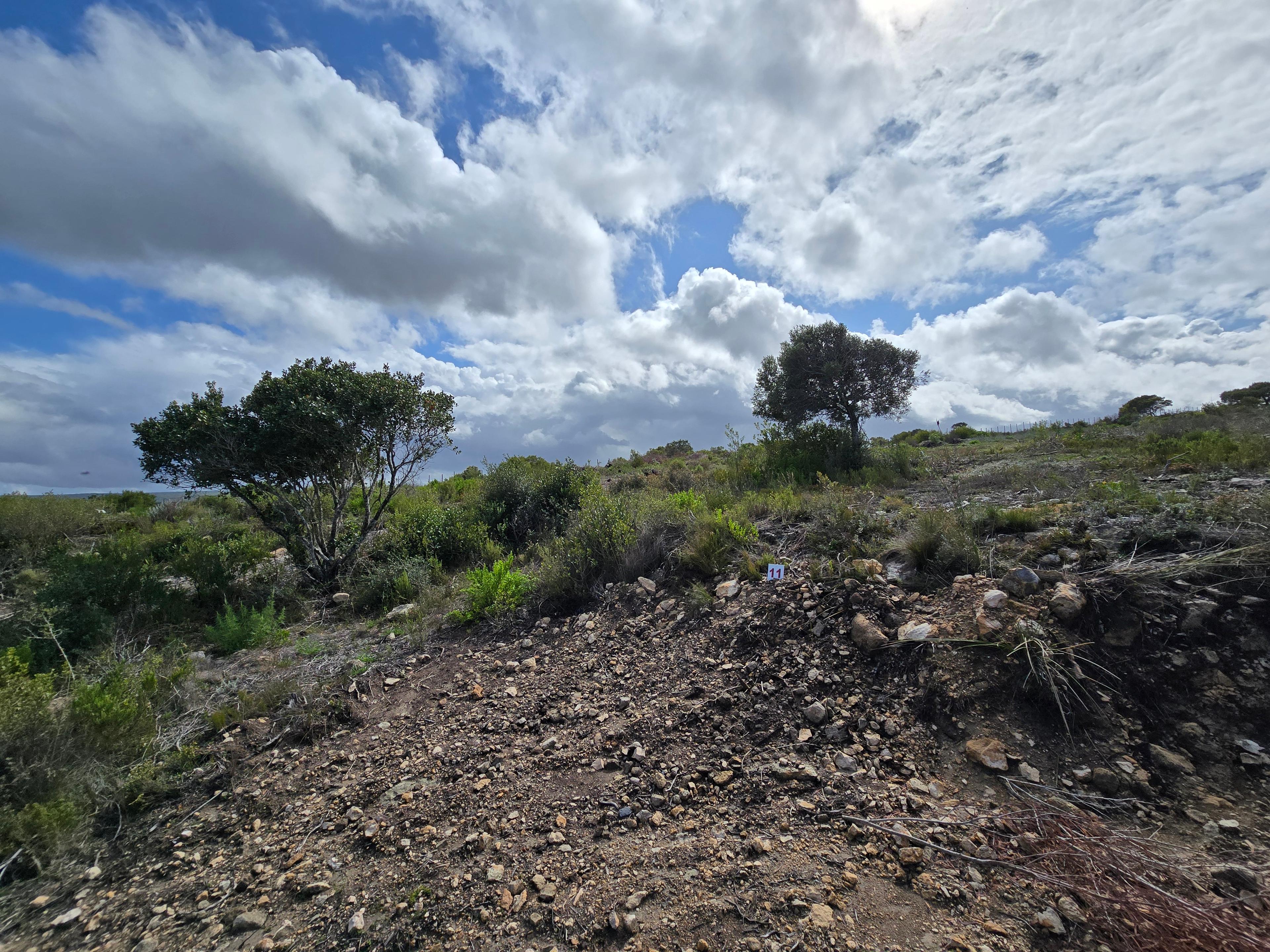 Image 4 of 6