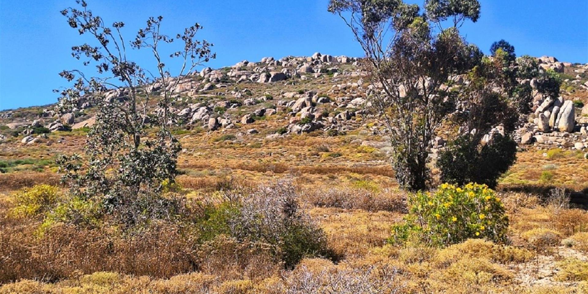 Image 4 of 6