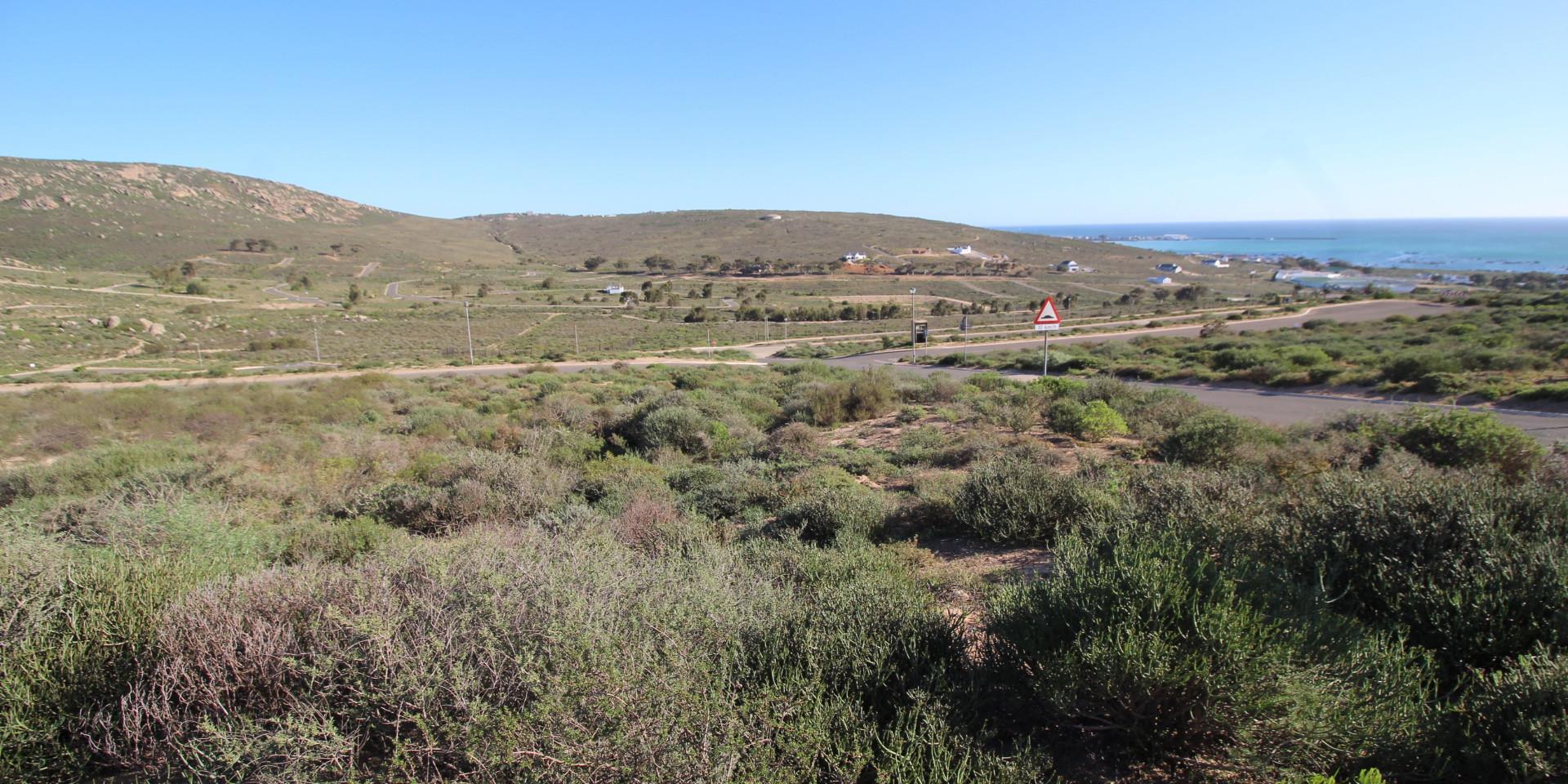 Image 4 of 6