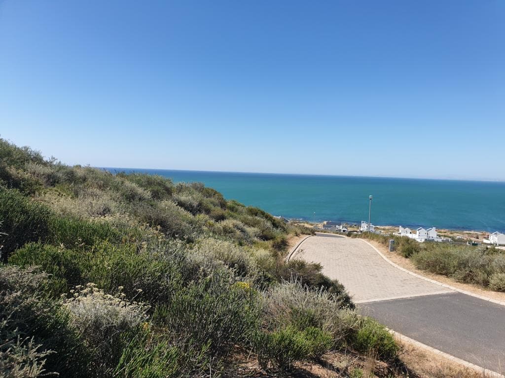 Image 4 of 6
