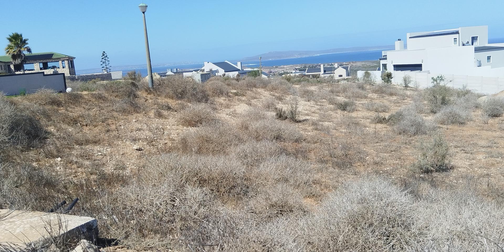 Image 3 of 6