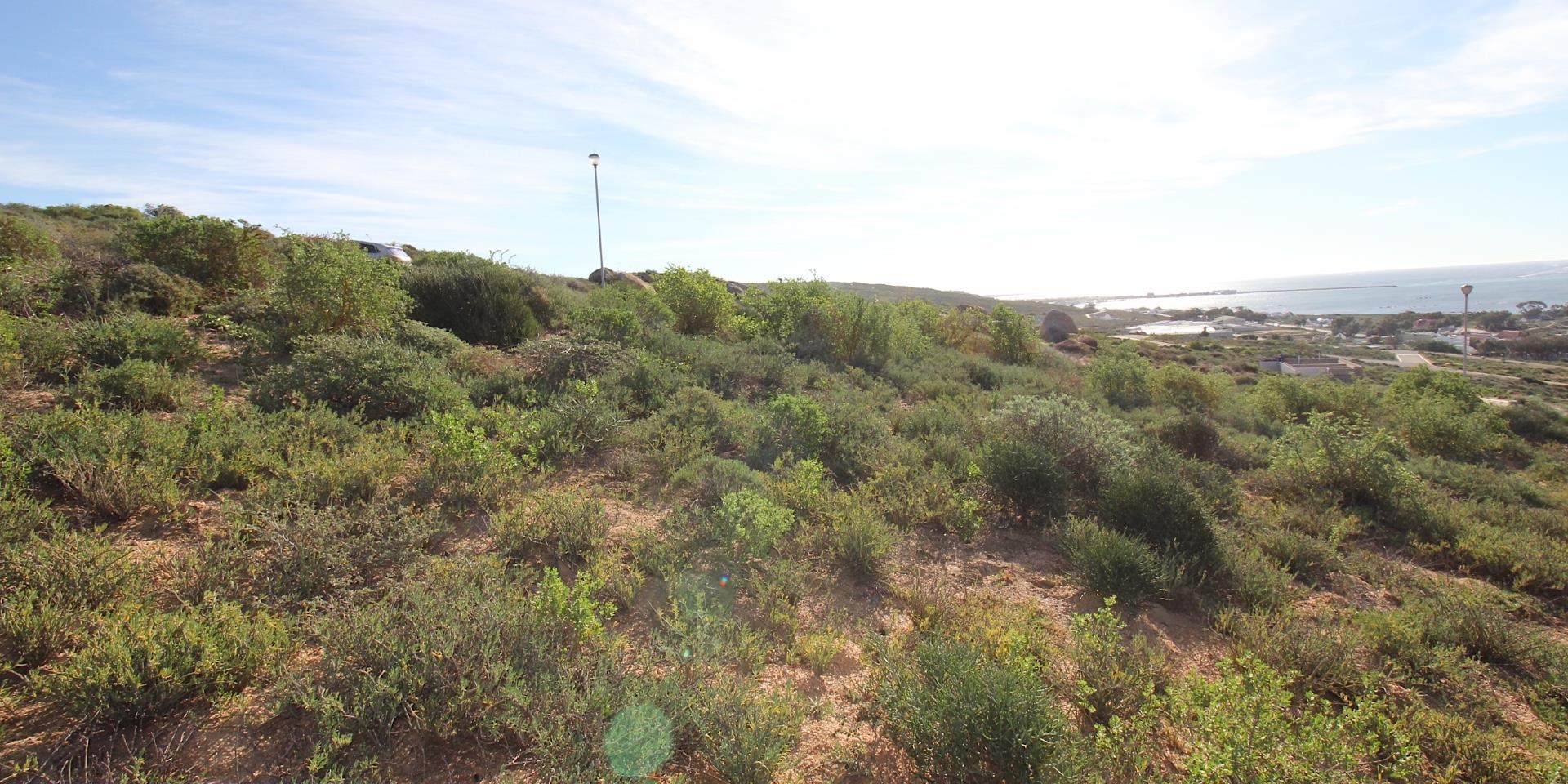 Image 5 of 6