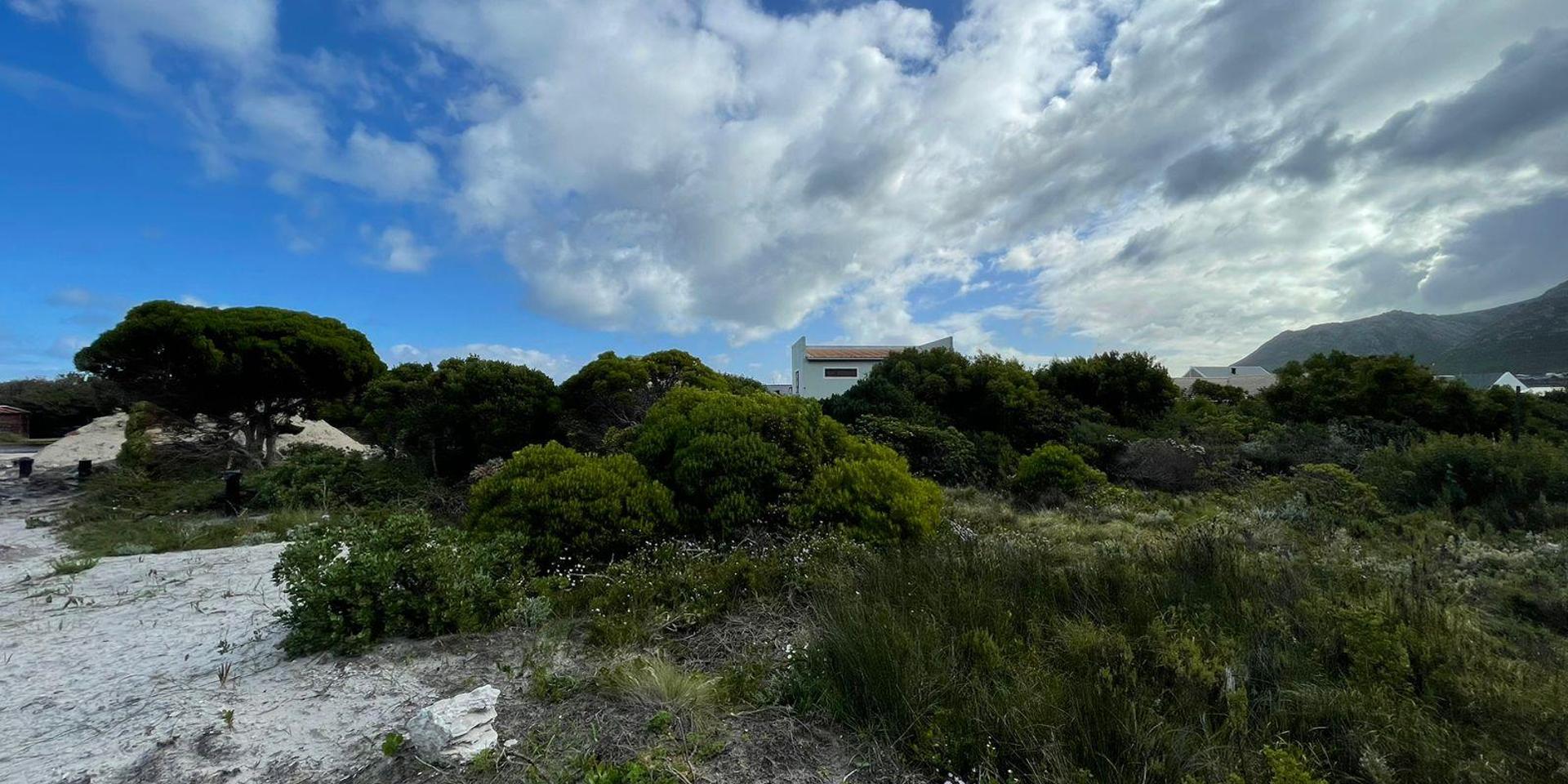 Image 2 of 6