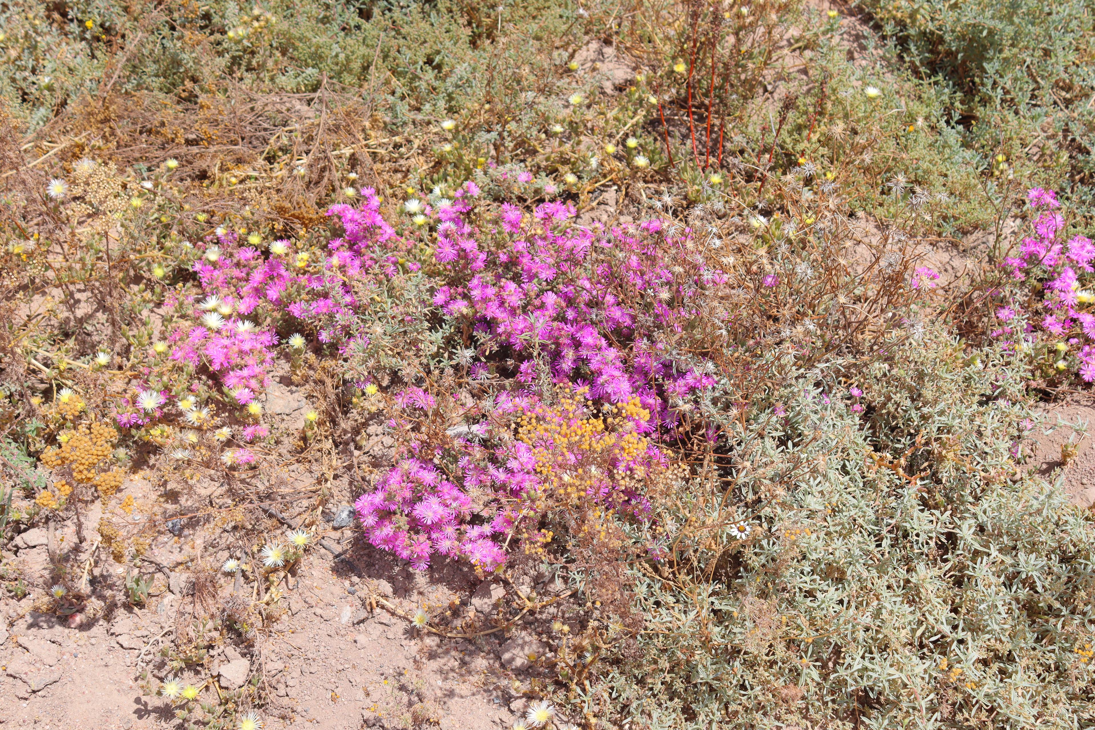 Image 5 of 6