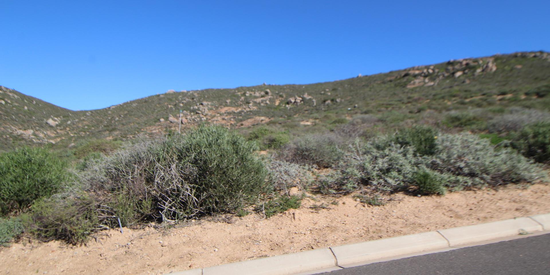 Image 5 of 6