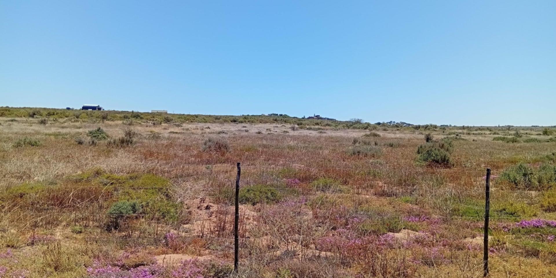Image 4 of 6