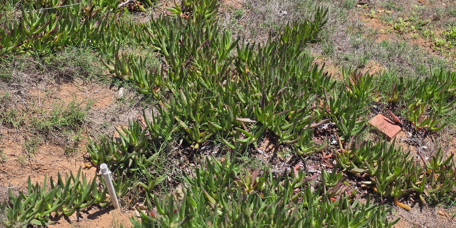 Image 2 of 6