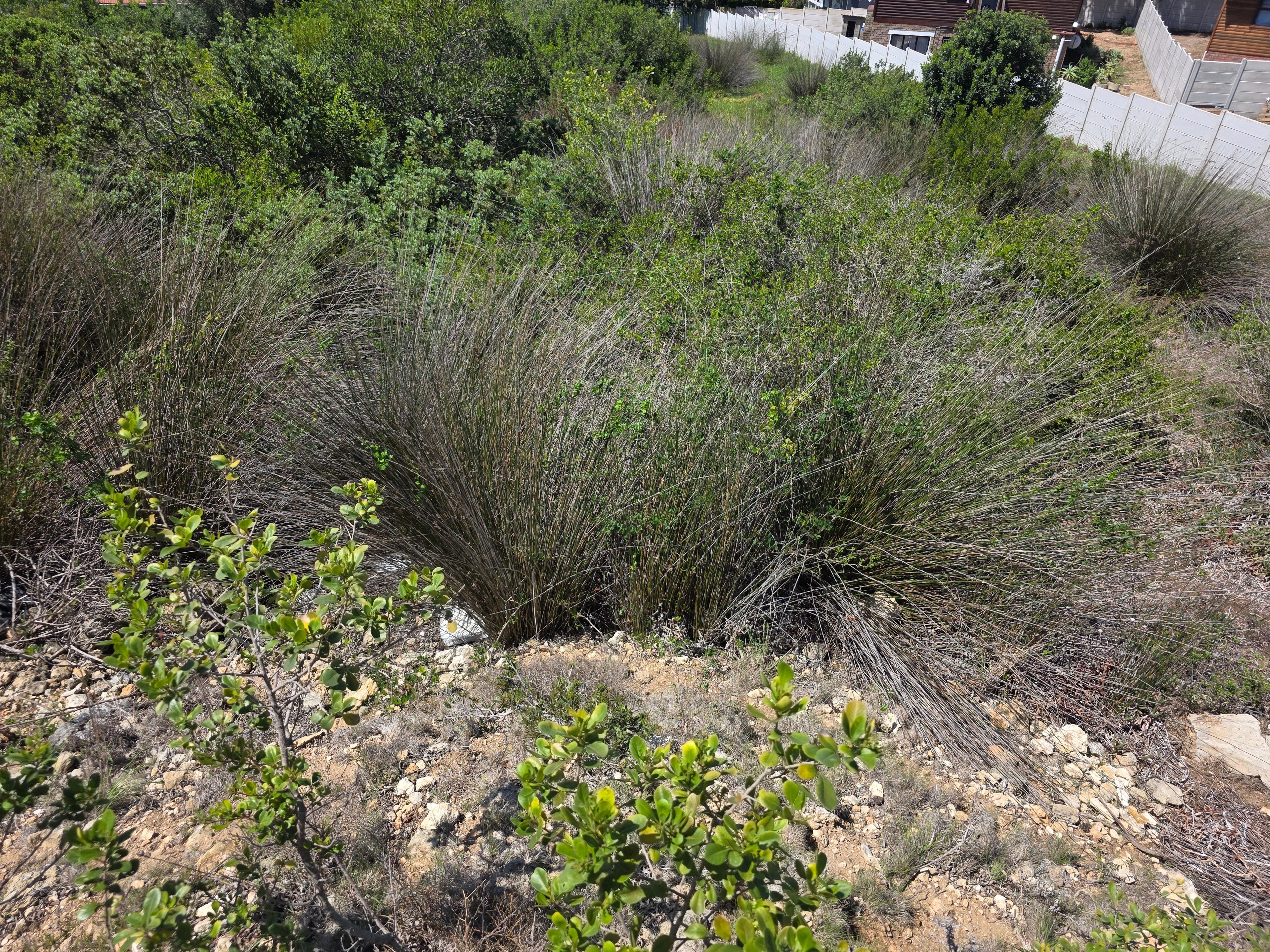 Image 5 of 6