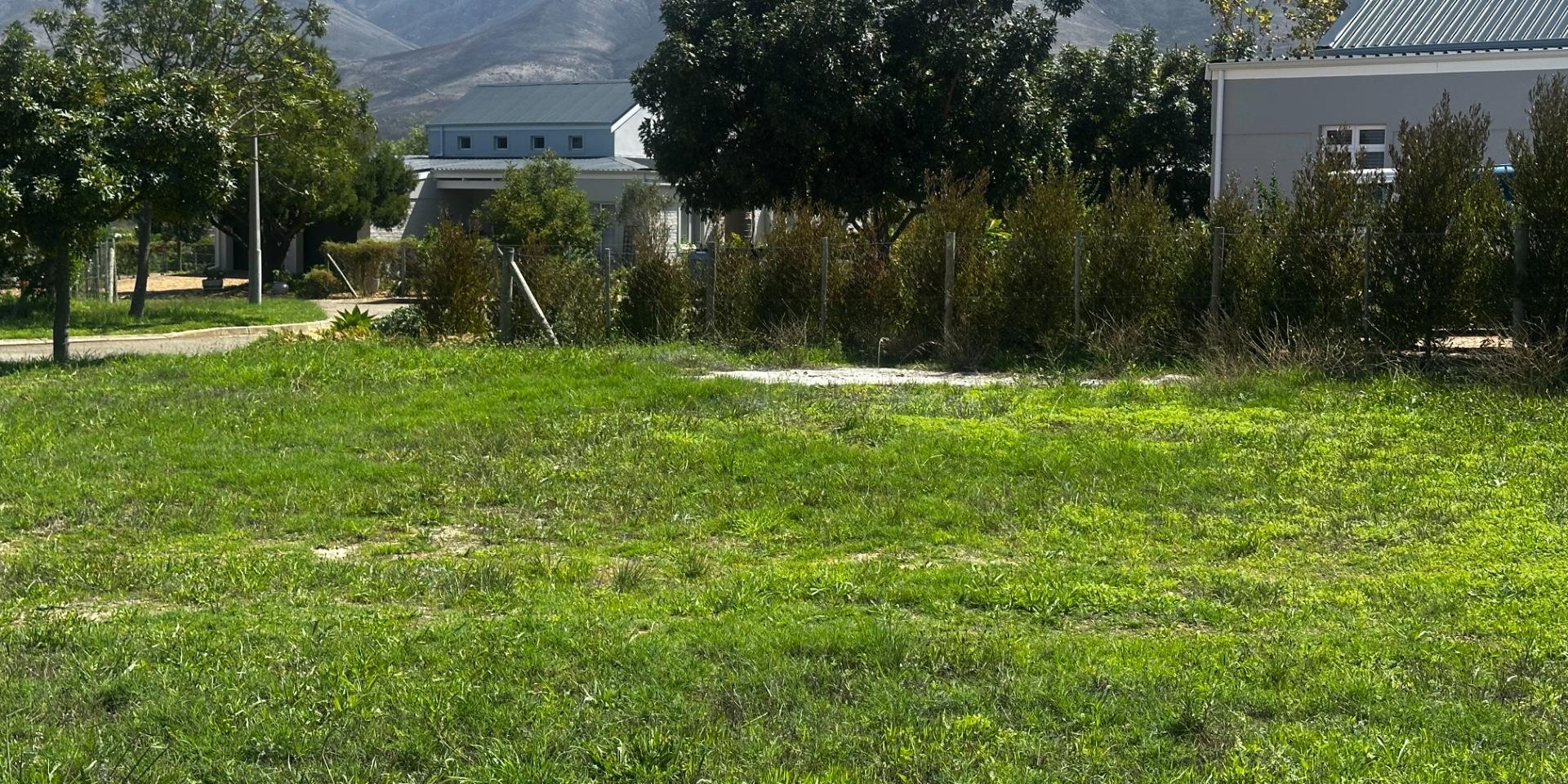 Image 5 of 6