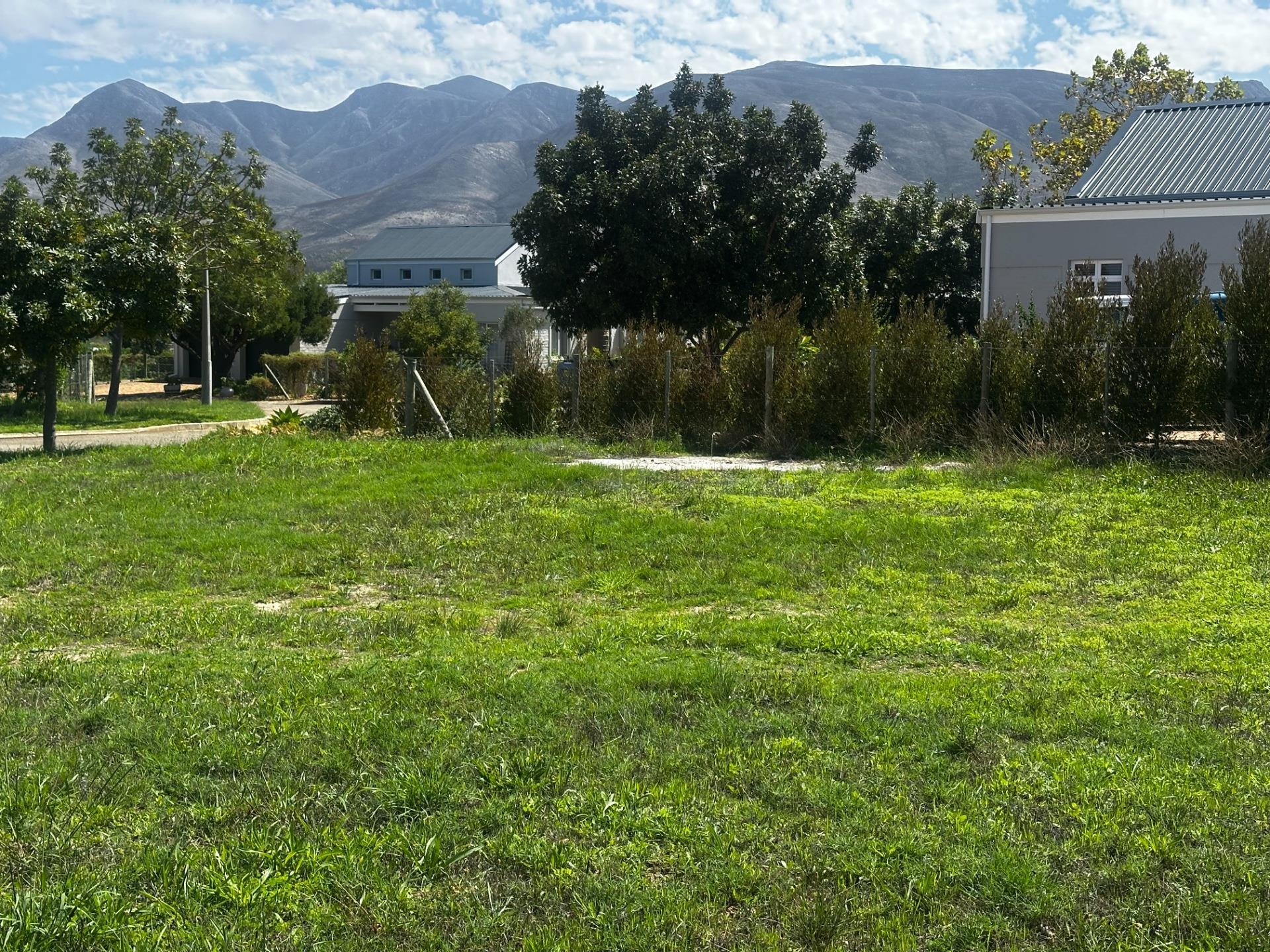 Image 5 of 6
