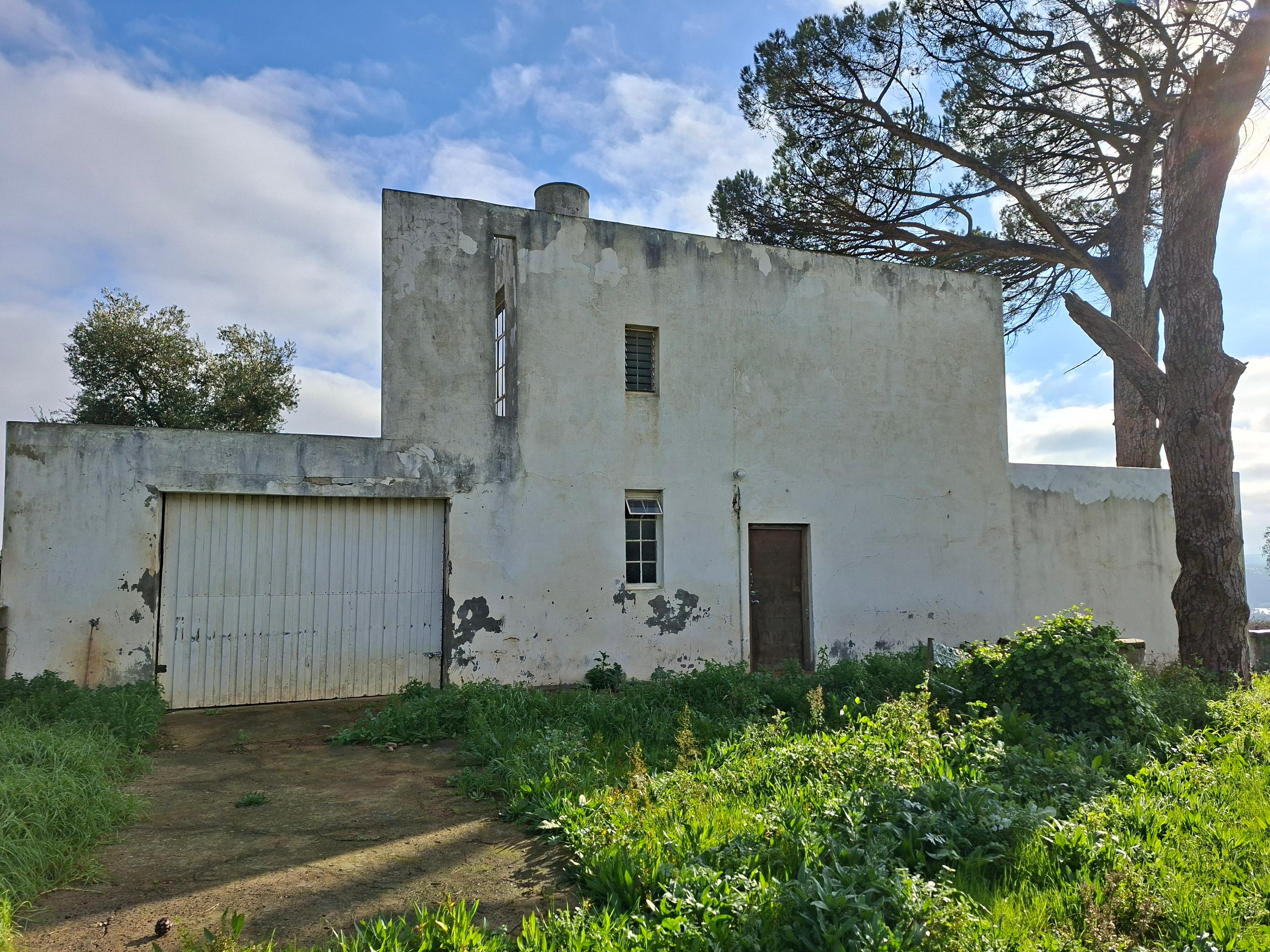 Image 12