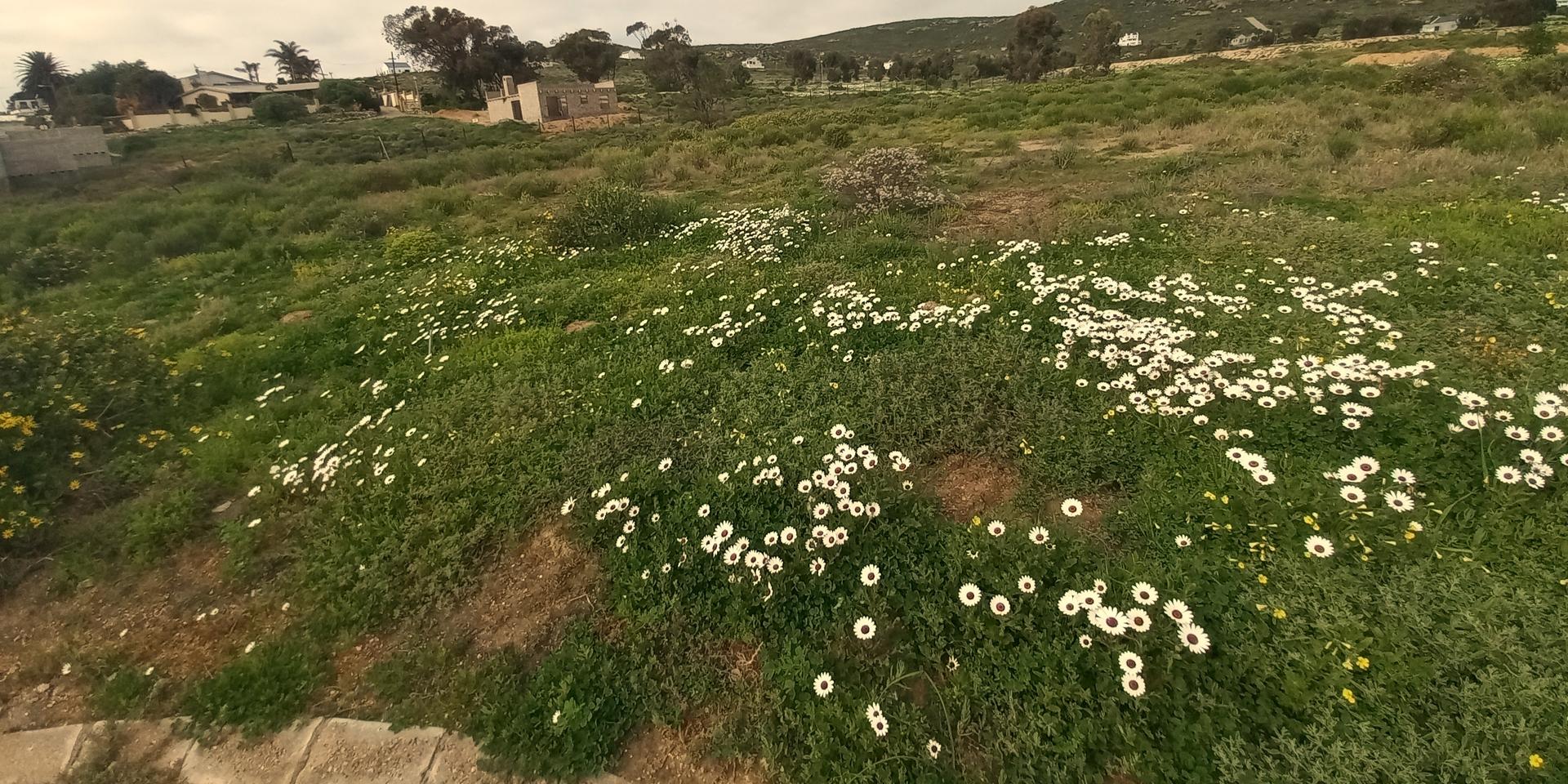 Image 5 of 6