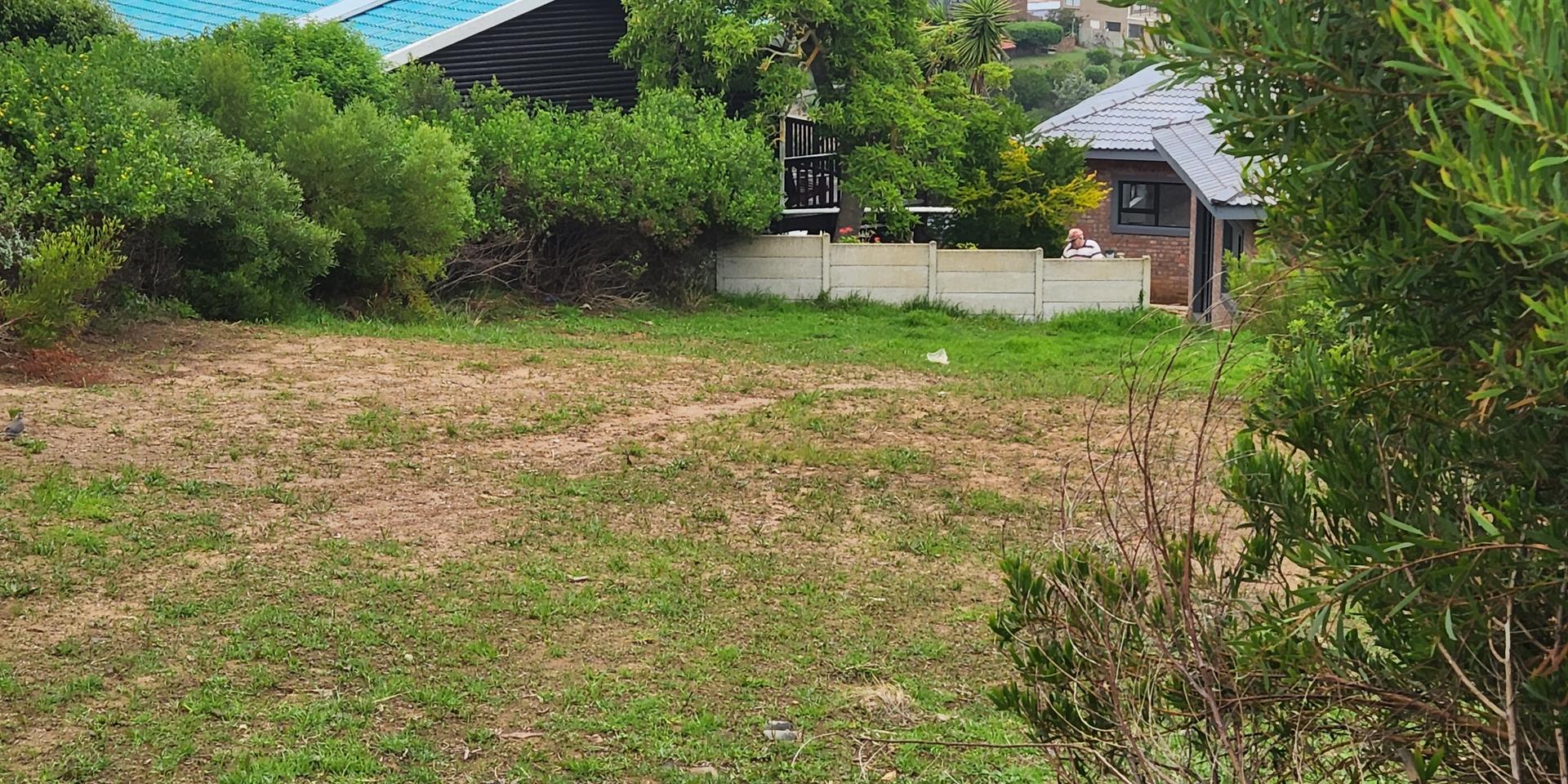 Image 4 of 6