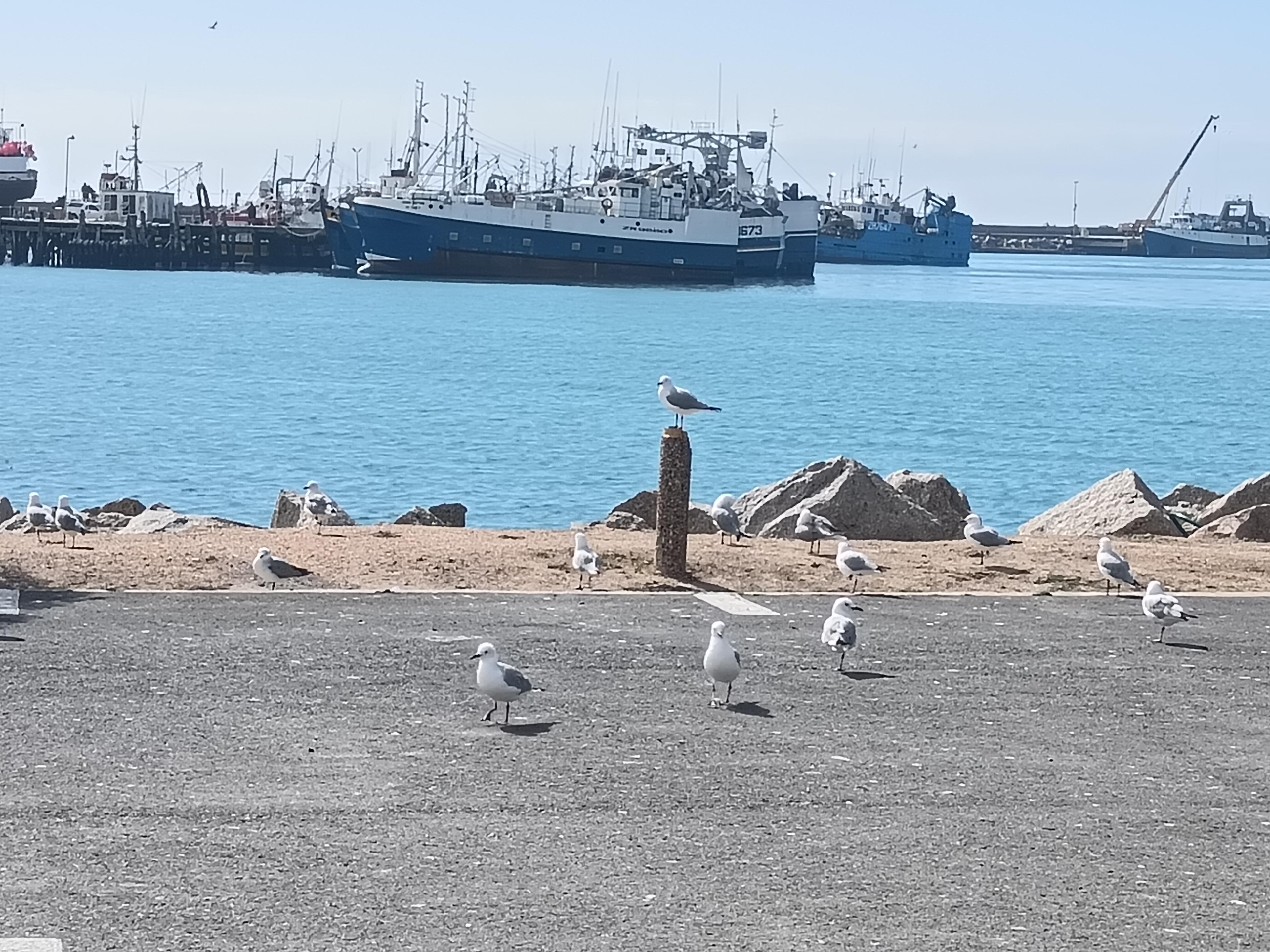 Image 10