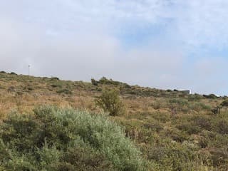 Image 14