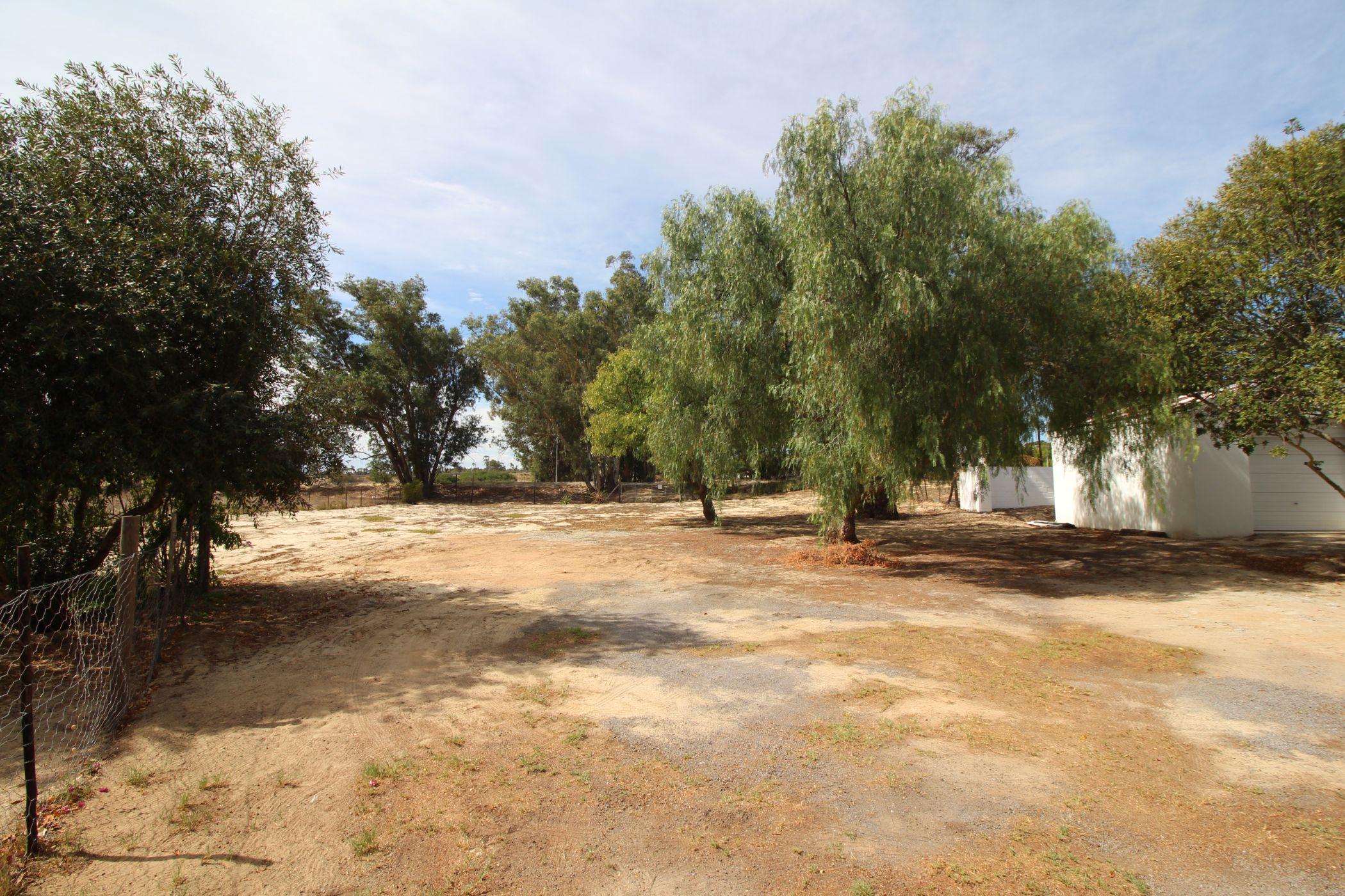 Image 32