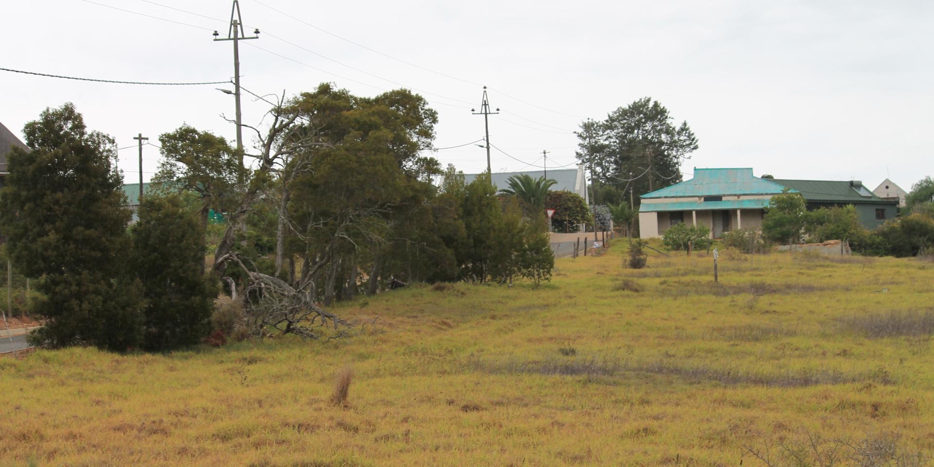 Image 2 of 6