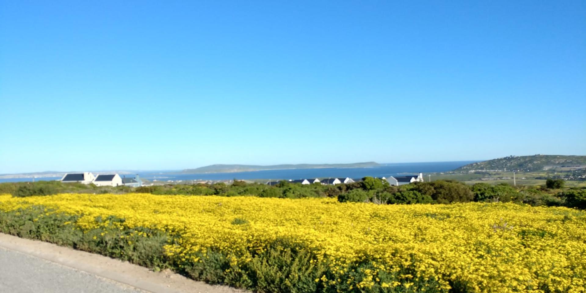 Image 5 of 6