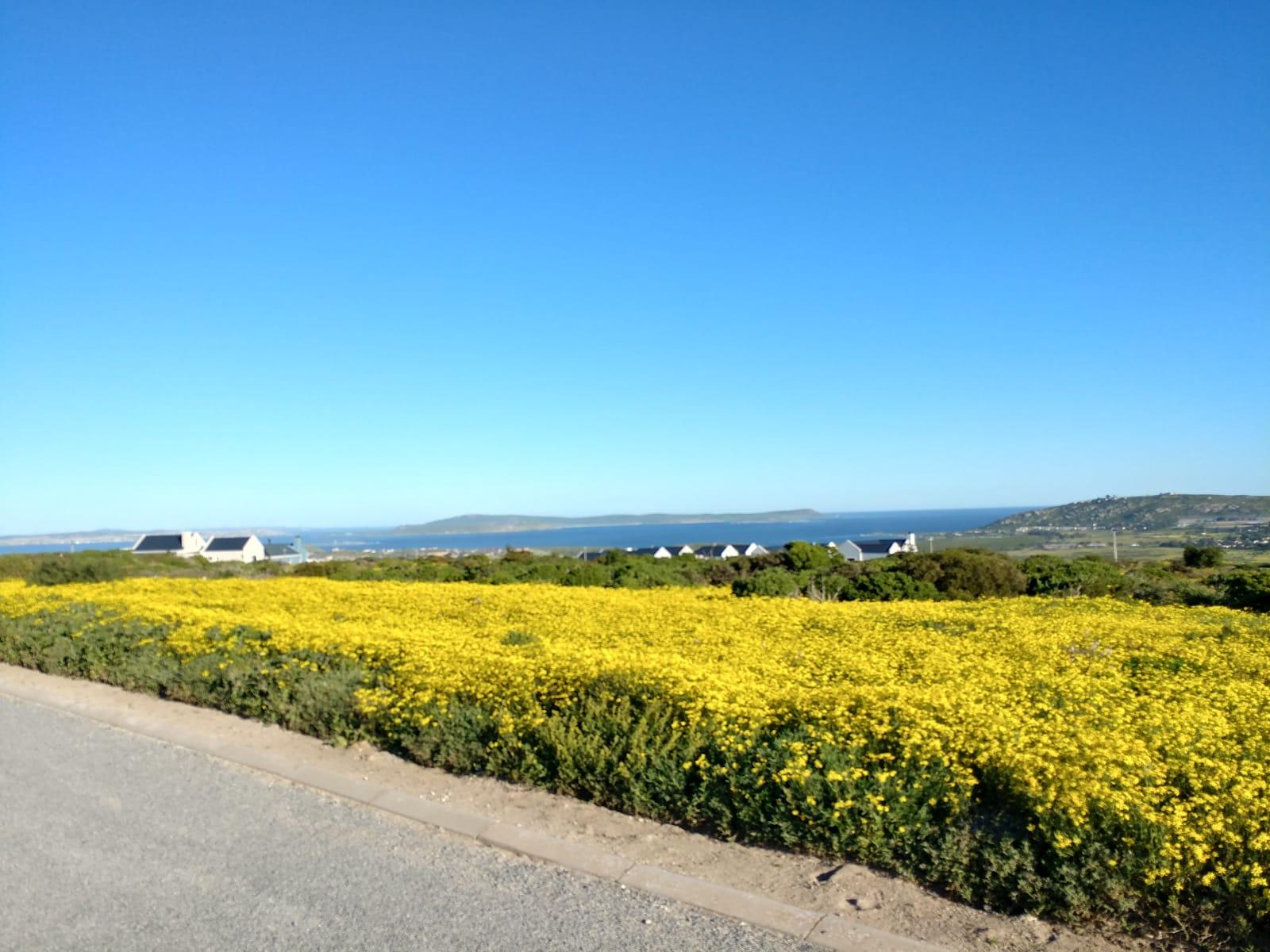 Image 5 of 6
