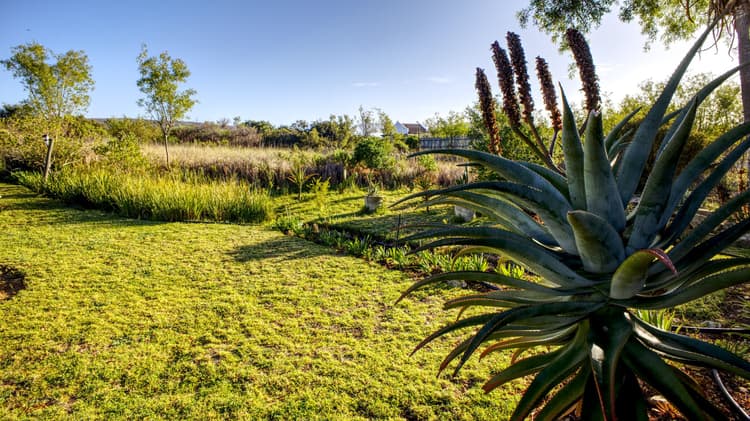 Main property image