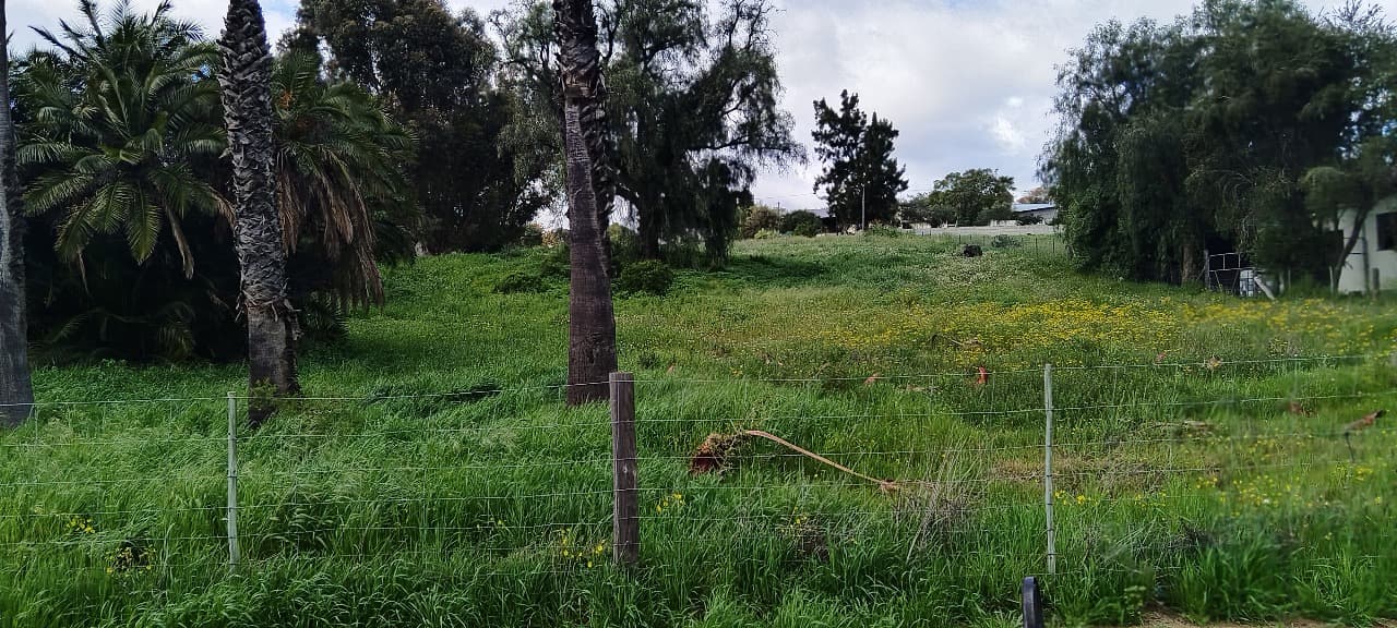 Image 9