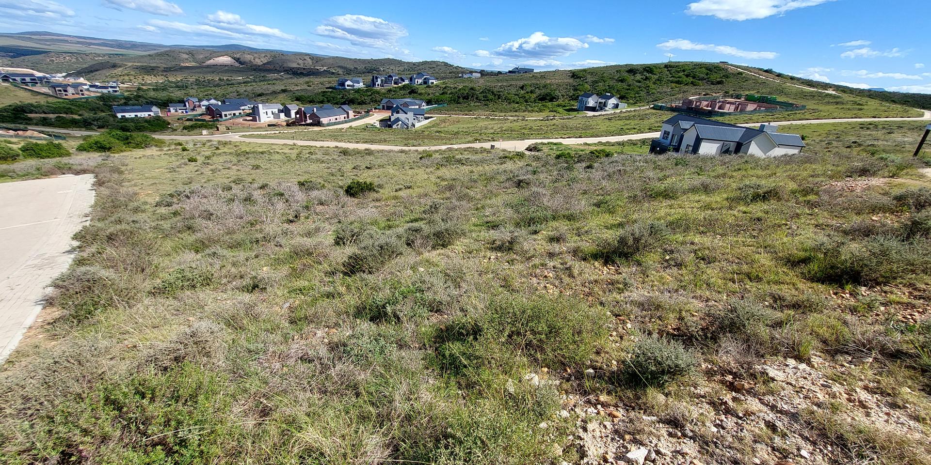 Image 5 of 6