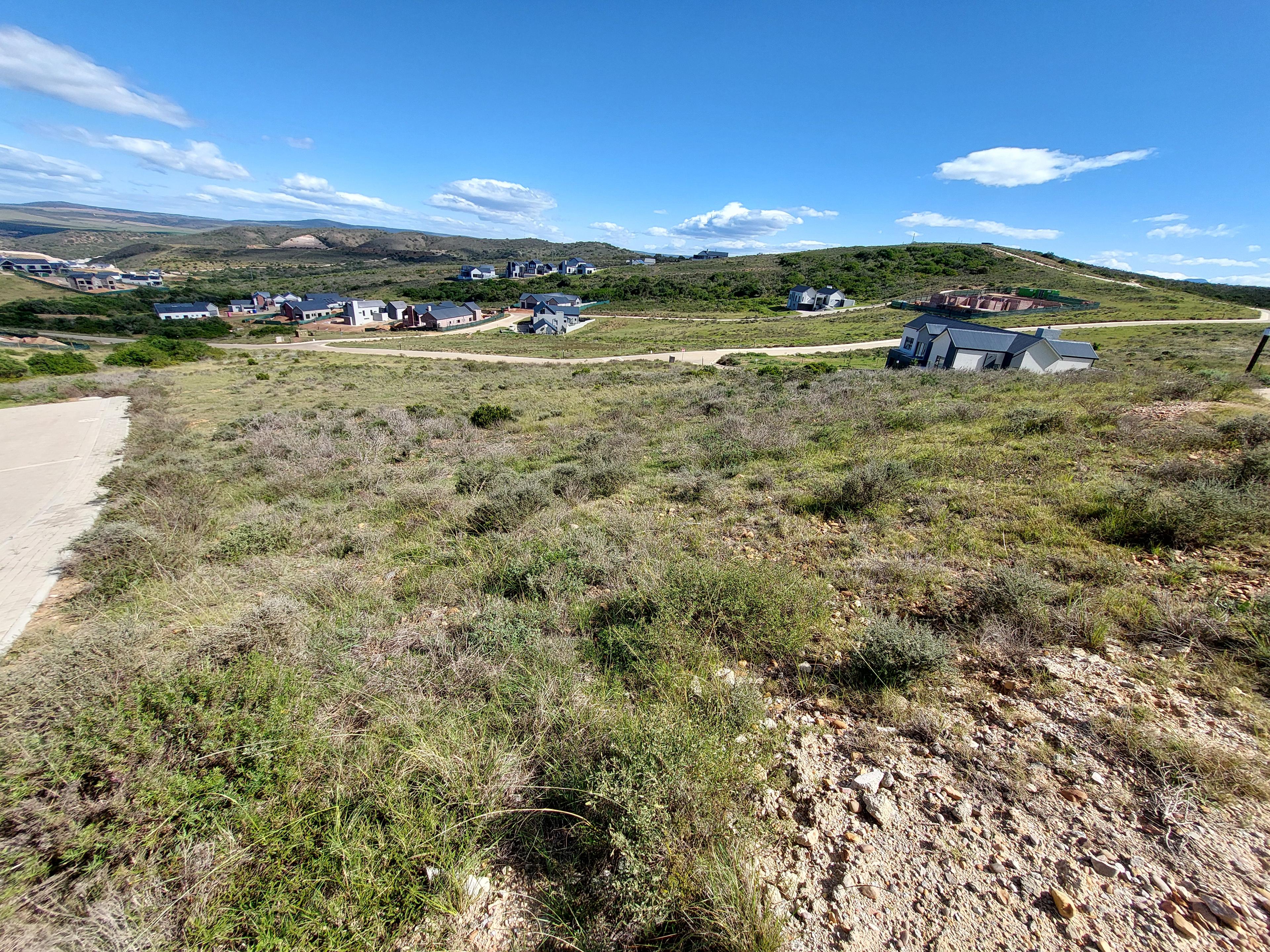 Image 2 of 6