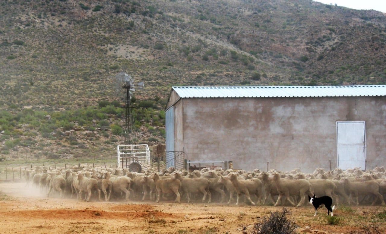 Image 1 of 6