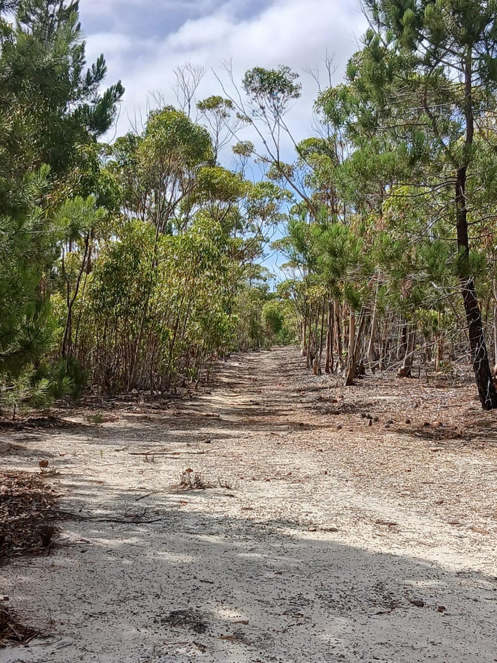 Image 2 of 6