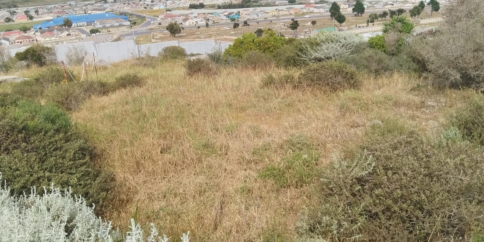 Image 2 of 6