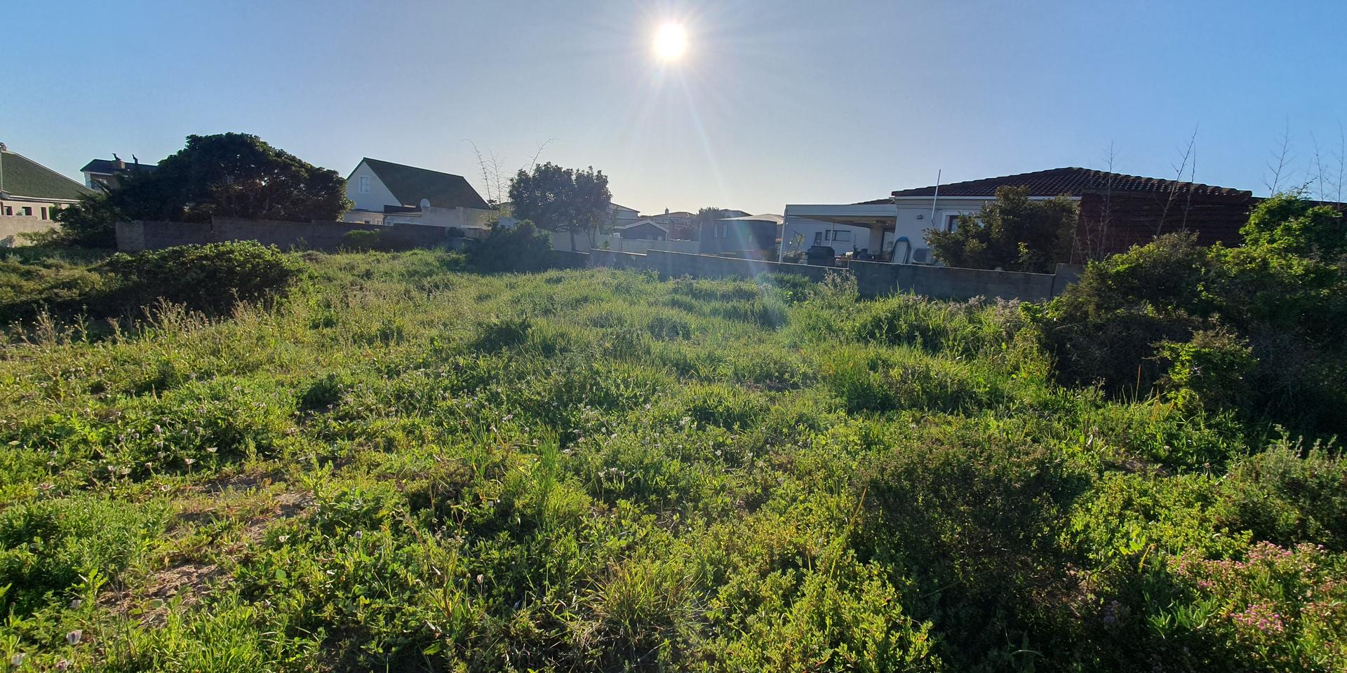 Image 4 of 6