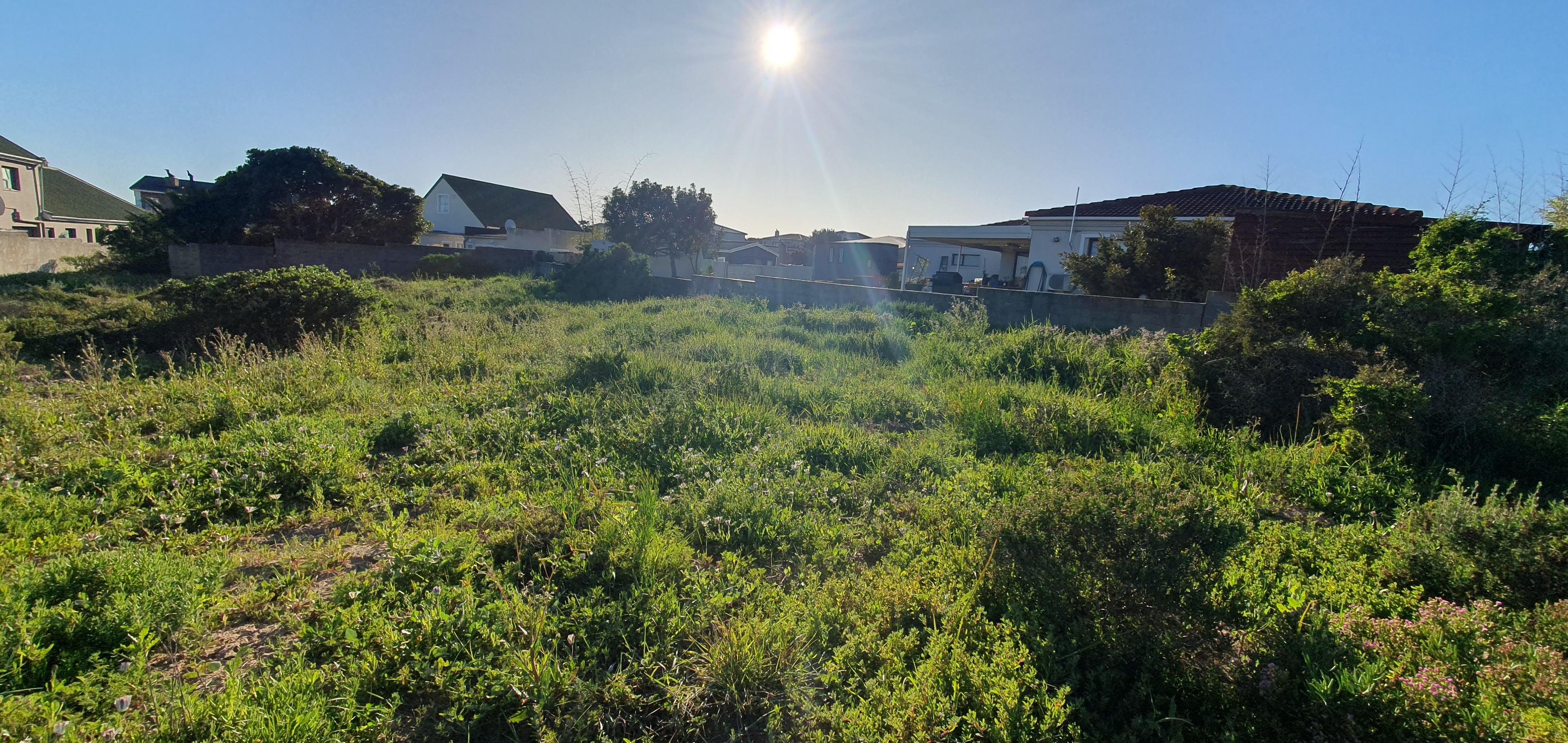 Image 4 of 6